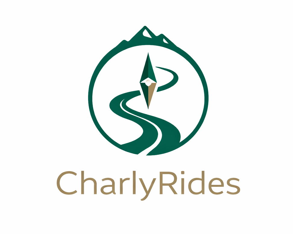 Logo Design by Bogdan Stanagui for Açai plus | Design #37033439