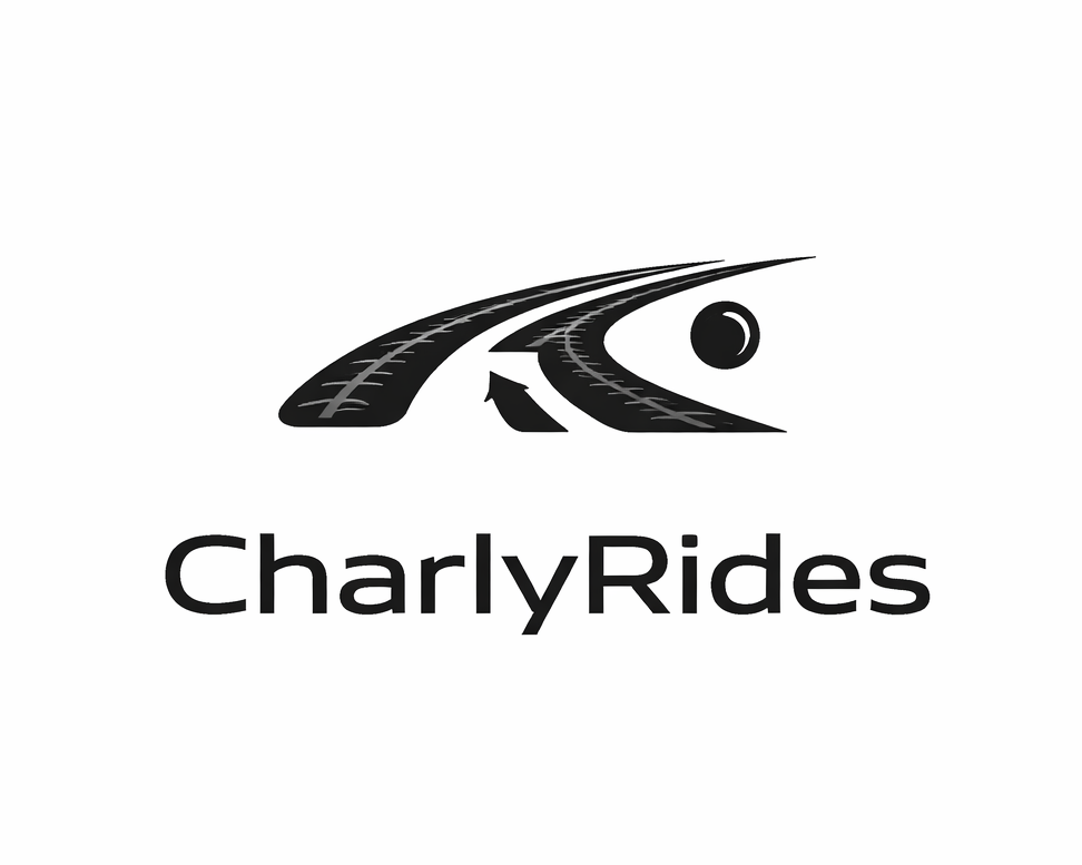 Logo Design by Bogdan Stanagui for Açai plus | Design #37033443