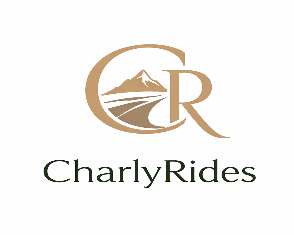 Logo Design by Bogdan Stanagui for Açai plus | Design #37033446