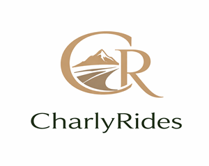 Logo Design by Bogdan Stanagui for Açai plus | Design: #37033446