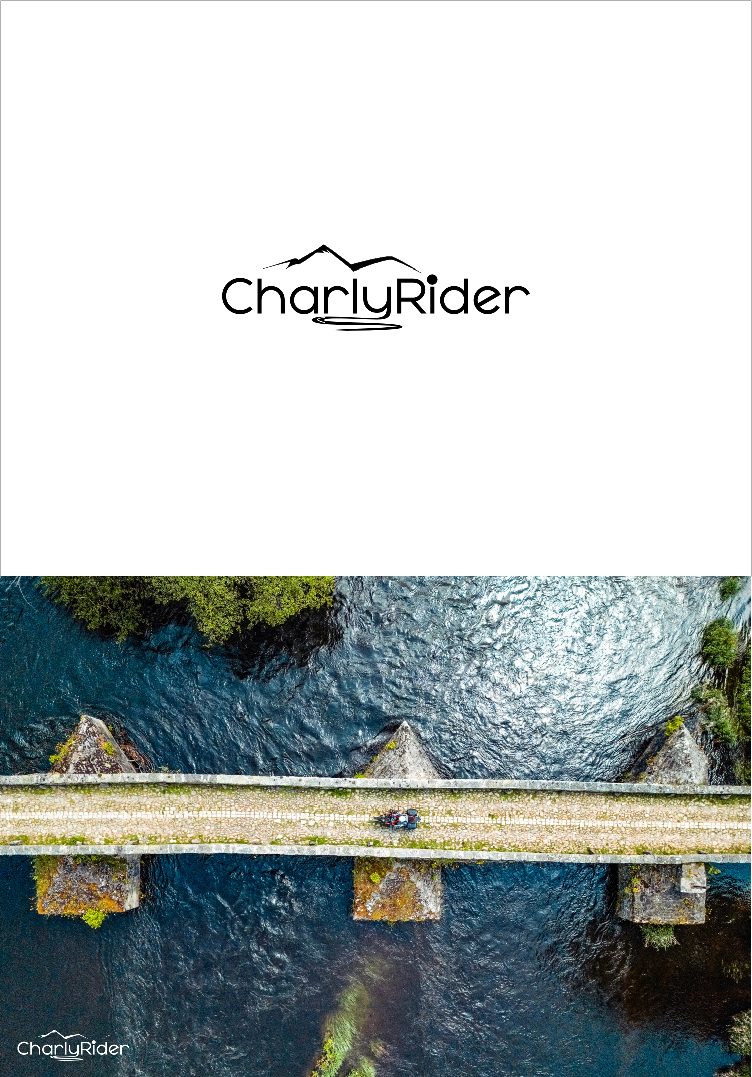 Logo Design by Arttosungging for Açai plus | Design #37029758