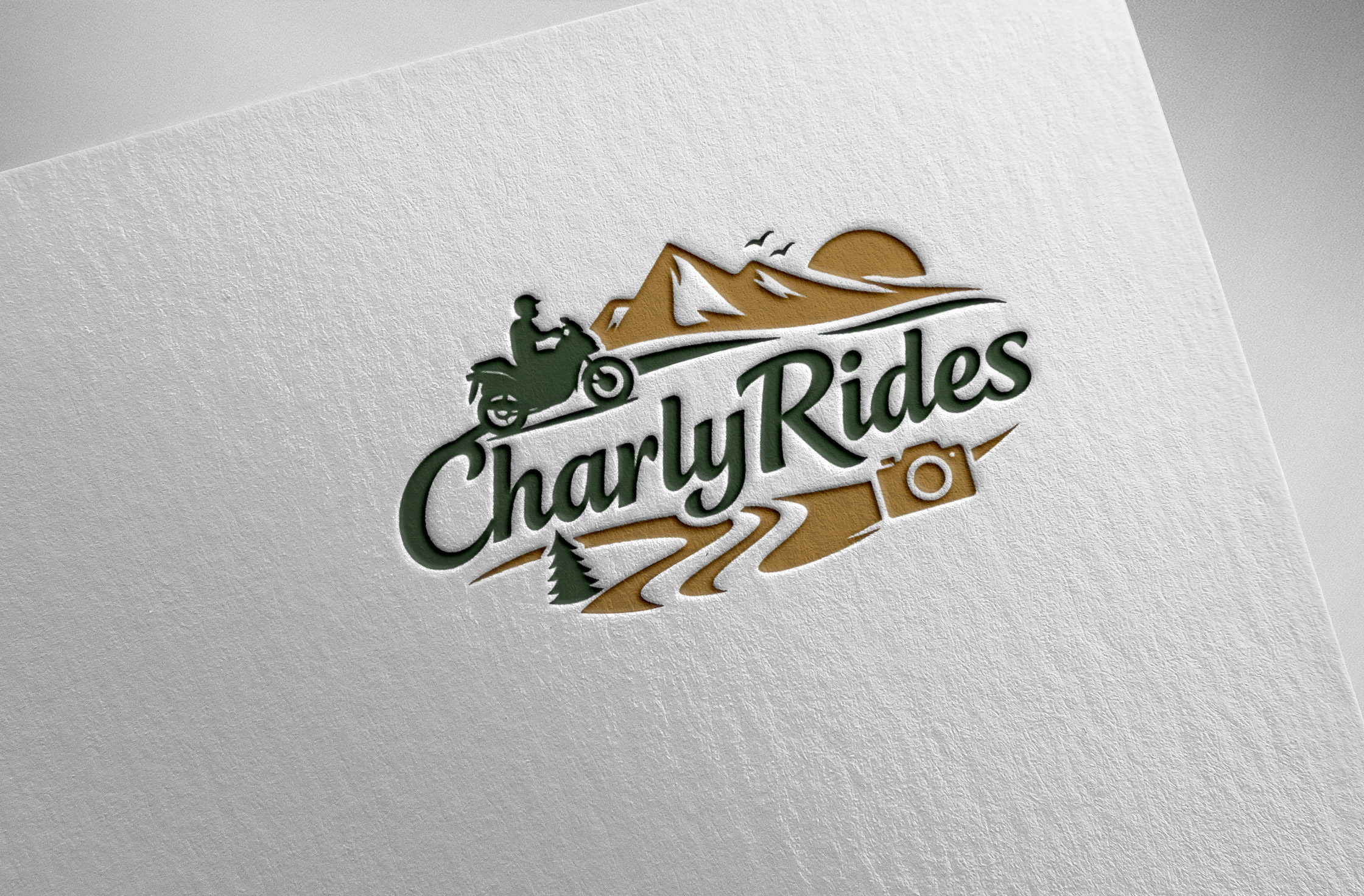 Logo Design by Pilot_DesignR™ for Açai plus | Design #37012023