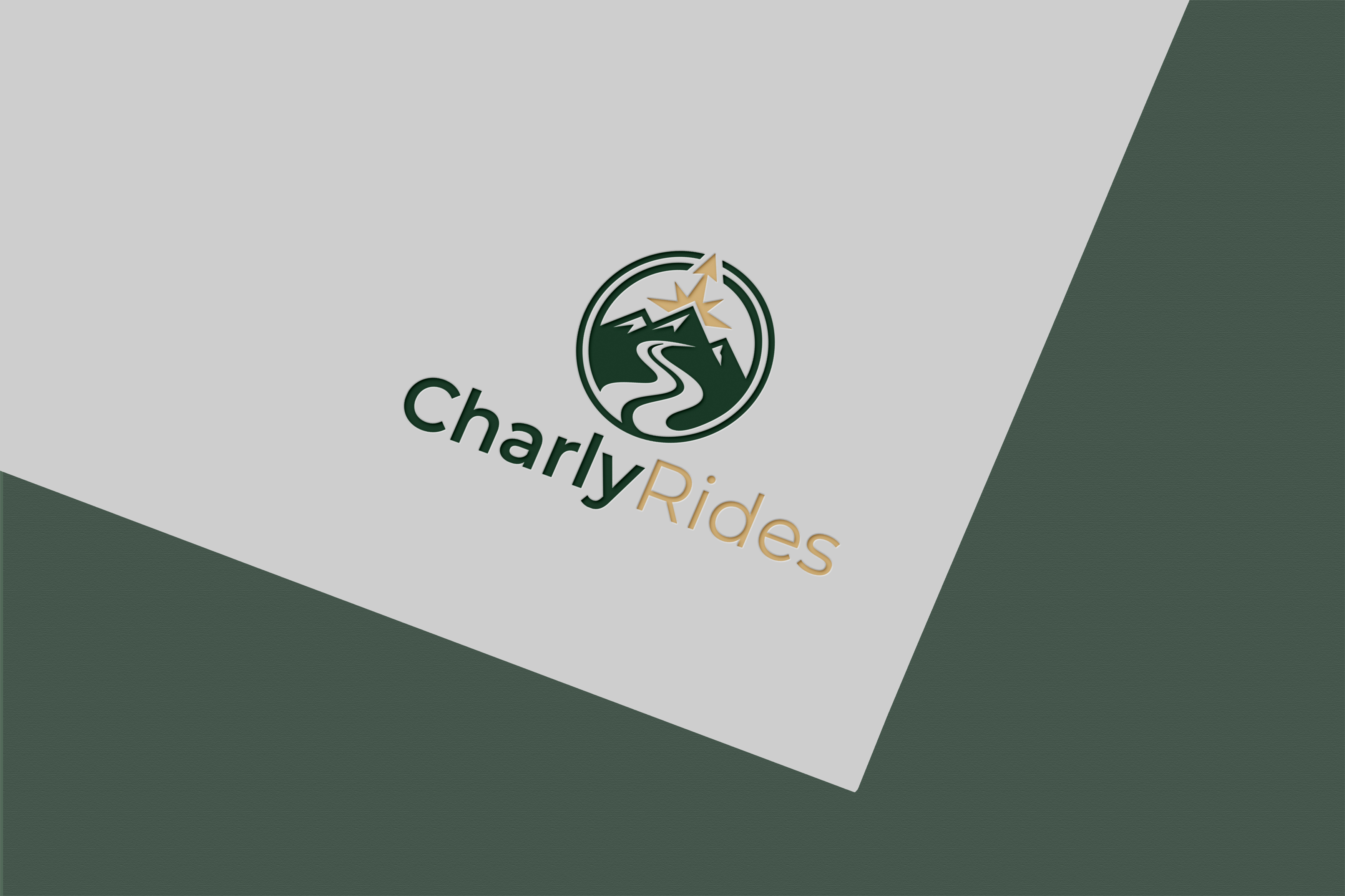 Logo Design by Jubaidur Creative Designer for Açai plus | Design #37031784