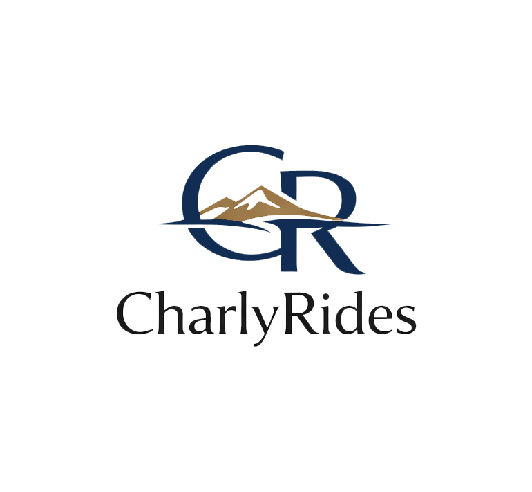 Logo Design by James S. for Açai plus | Design #37006209