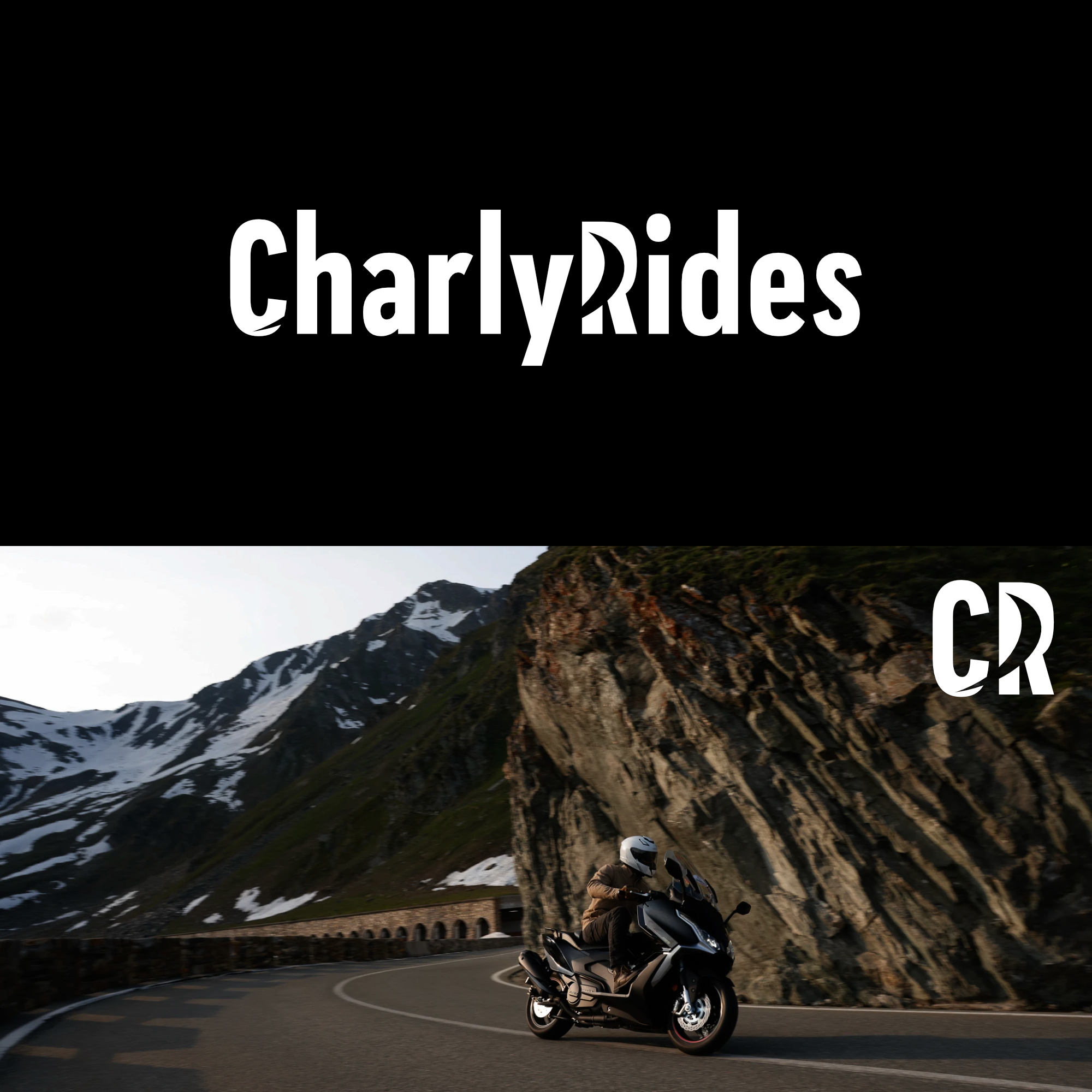 Design de Logo par John316 pour Açai plus | Design #37033007