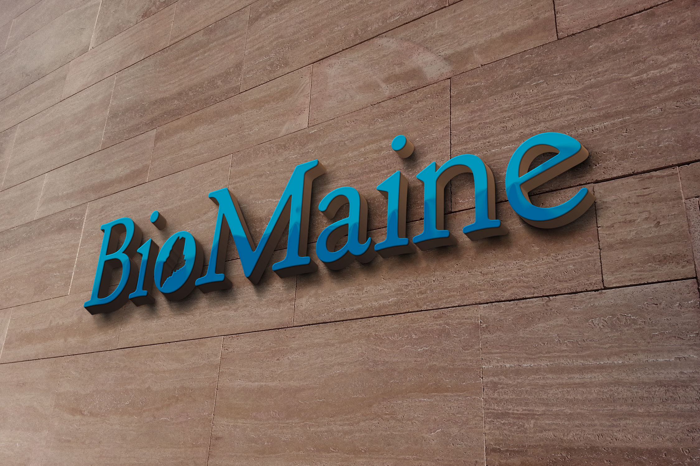 Logo Design by DesignMaker 2 for this project | Design #37038460