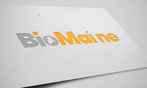 Logo-Design von ghillvan für dieses Projekt | Design: #37015796