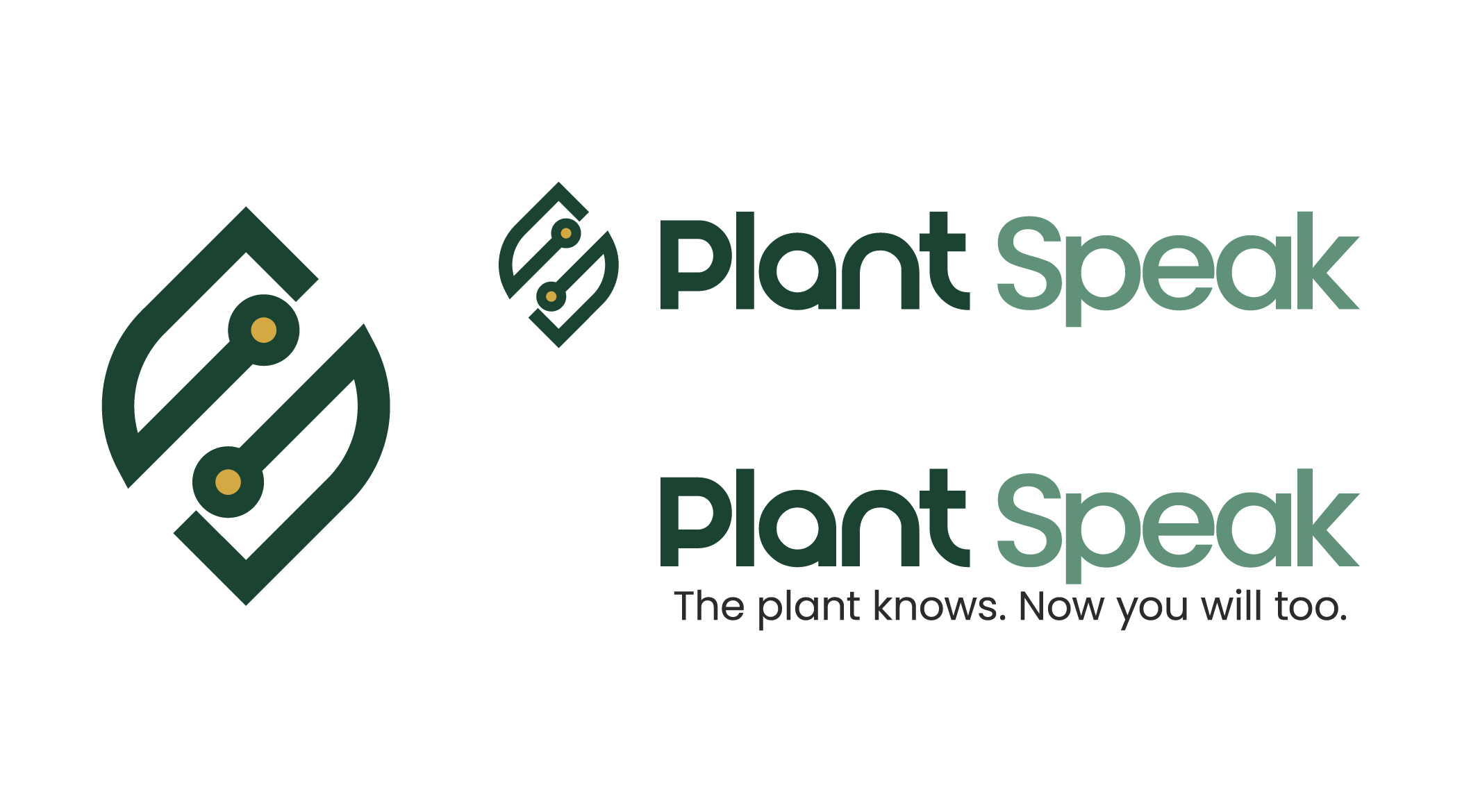 Diseño de Logo por sl.design para este proyecto | Diseño #37021319