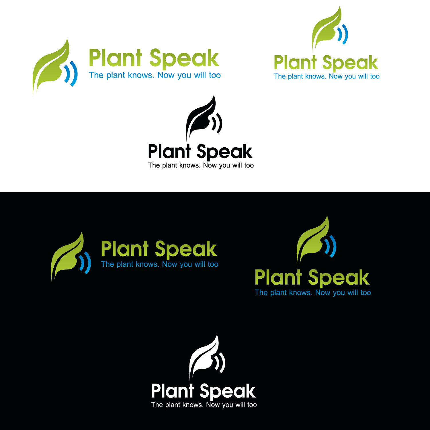 Diseño de Logo por emptyboxgraphics para este proyecto | Diseño #37018965