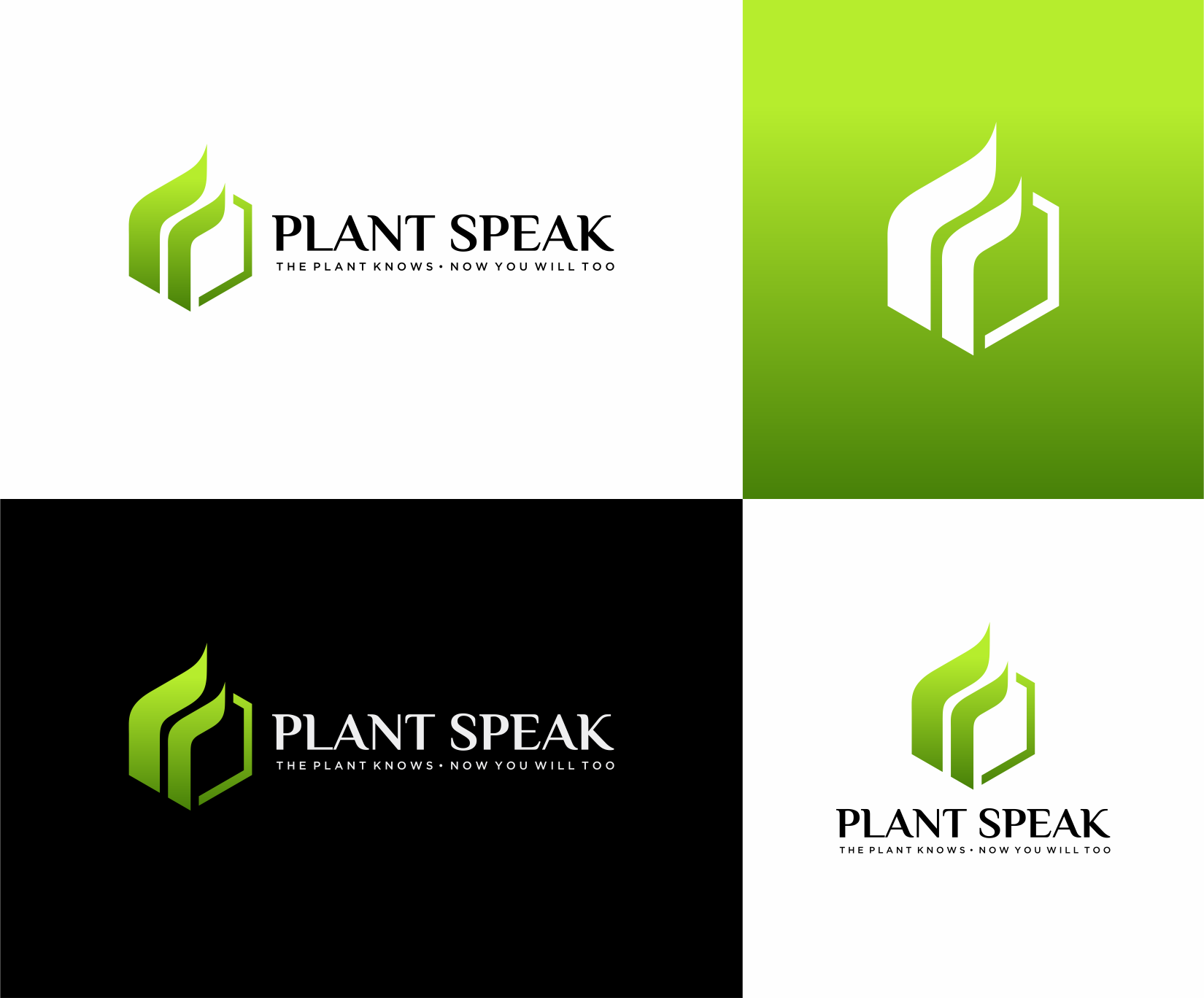 Design de Logo par Sibyle pour ce projet | Design #37021581