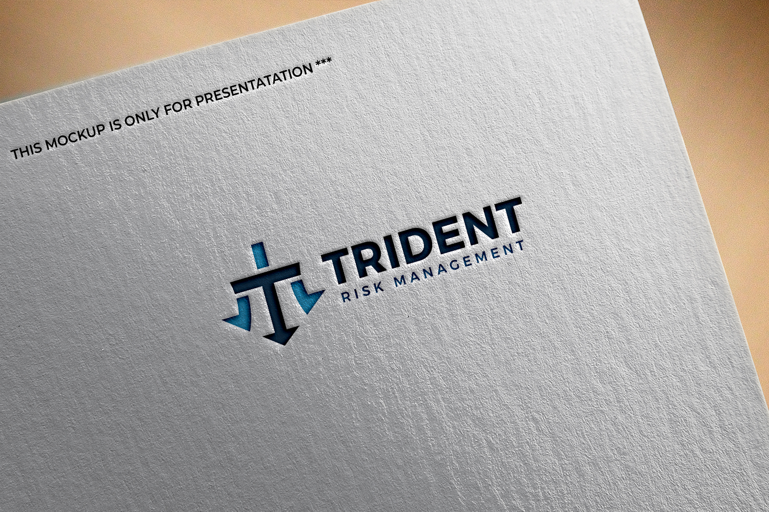Logo Design by Widi Nalendra for Trident Risk Management | Design #37026606