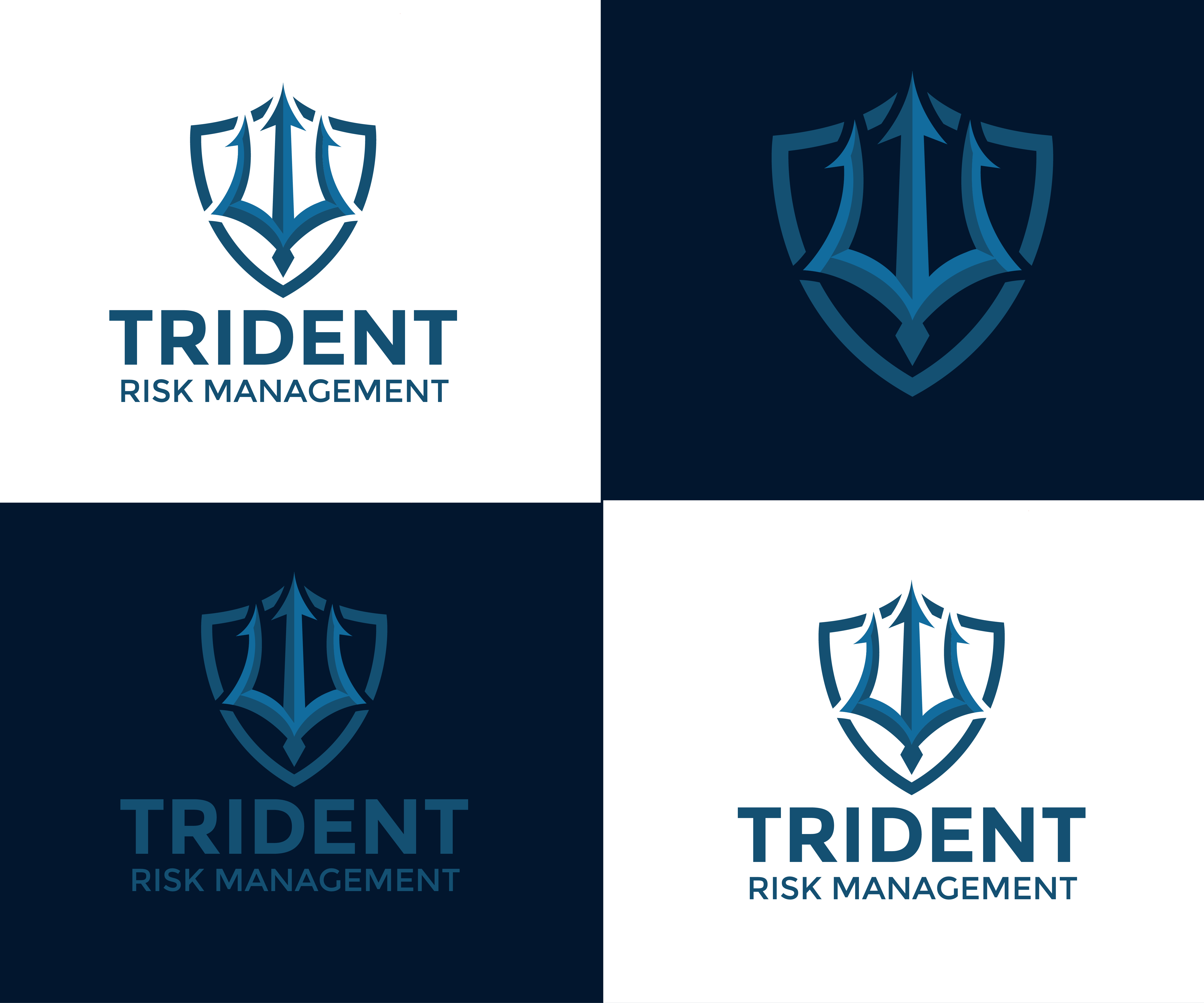 Logo-Design von Graphixpointt für Trident Risk Management | Design #37021225