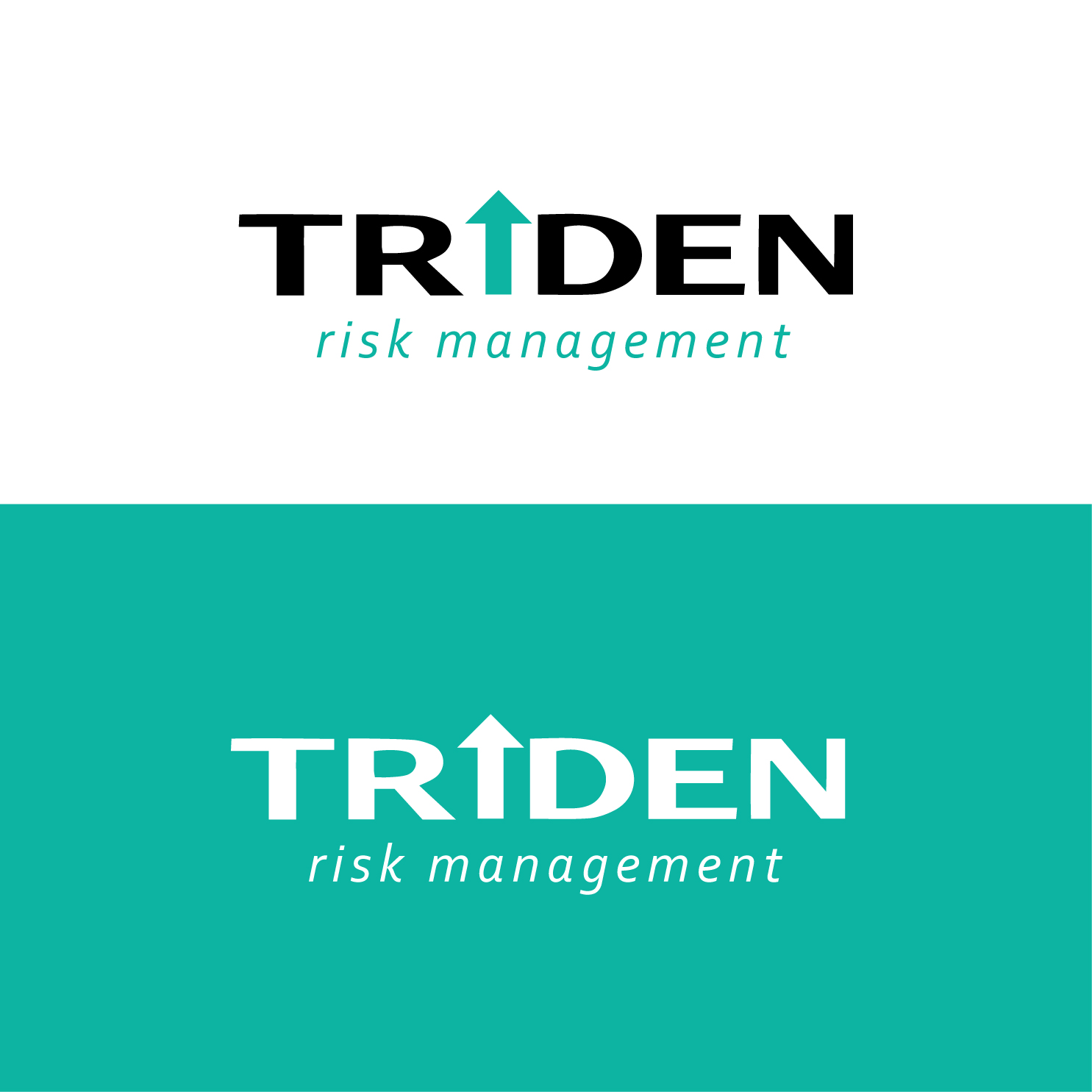 Logo Design by HoTA for Trident Risk Management | Design #37021503