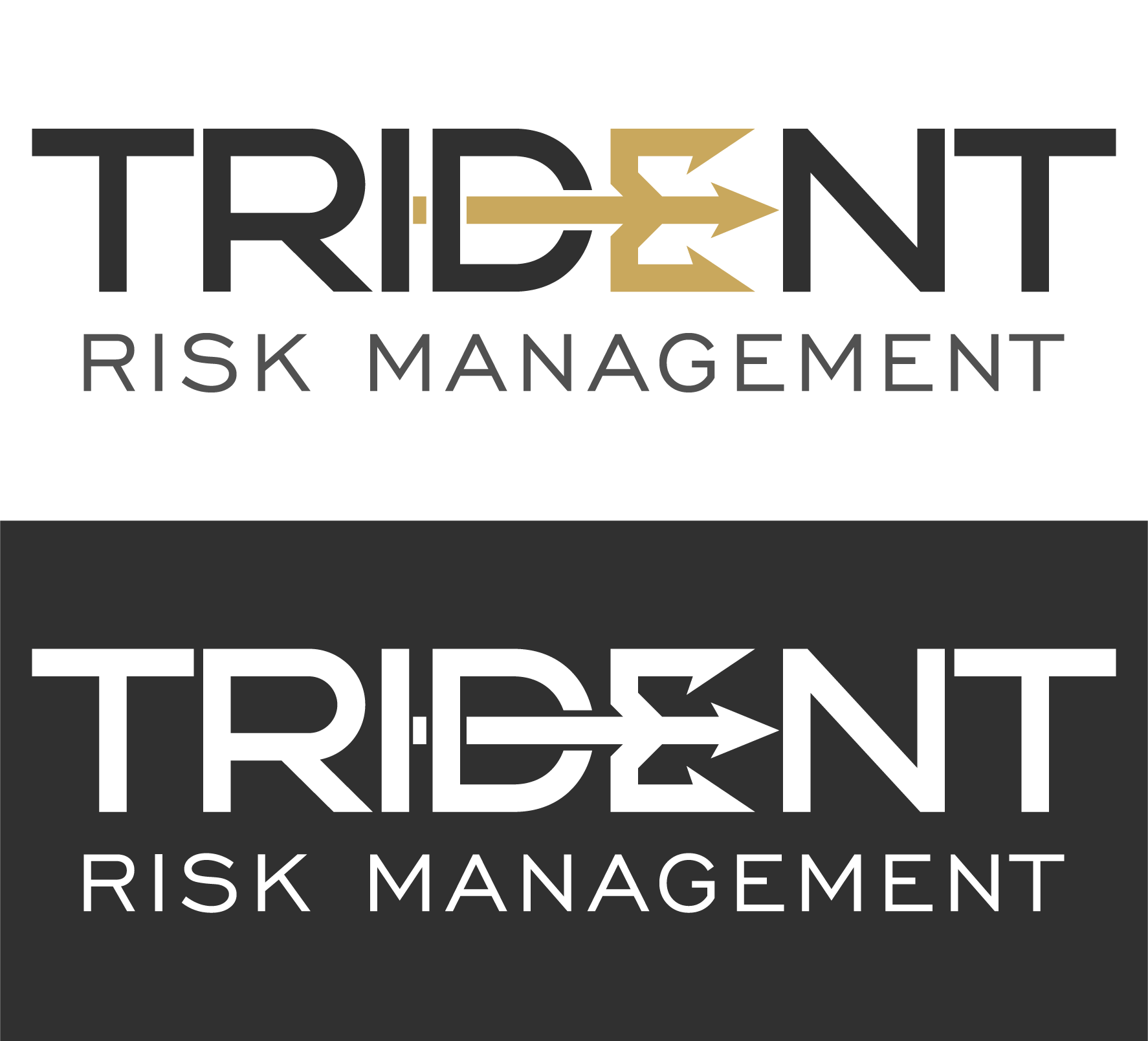 Logo Design by sl.design for Trident Risk Management | Design #37021220