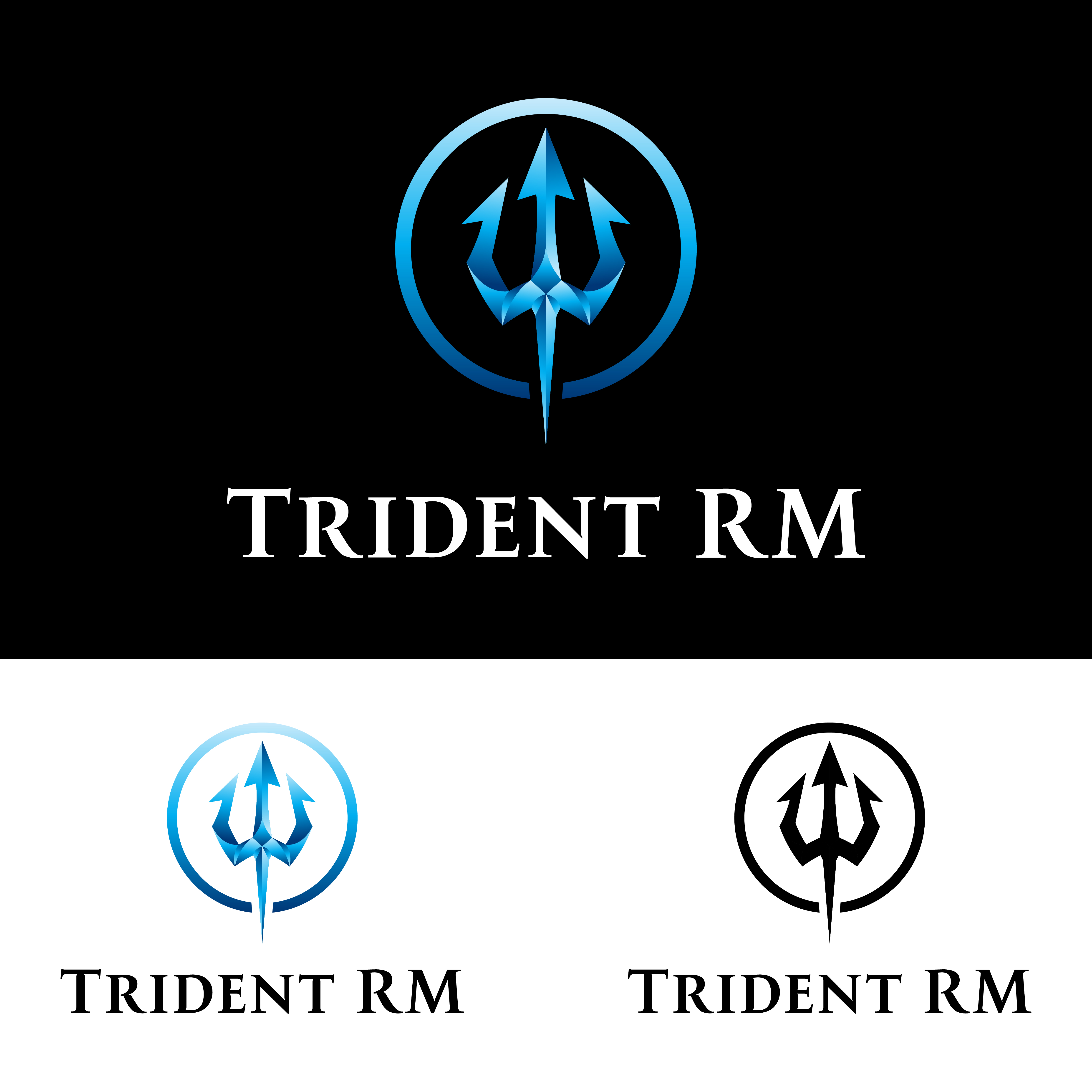 Logo-Design von John Mark Arts für Trident Risk Management | Design #37021480