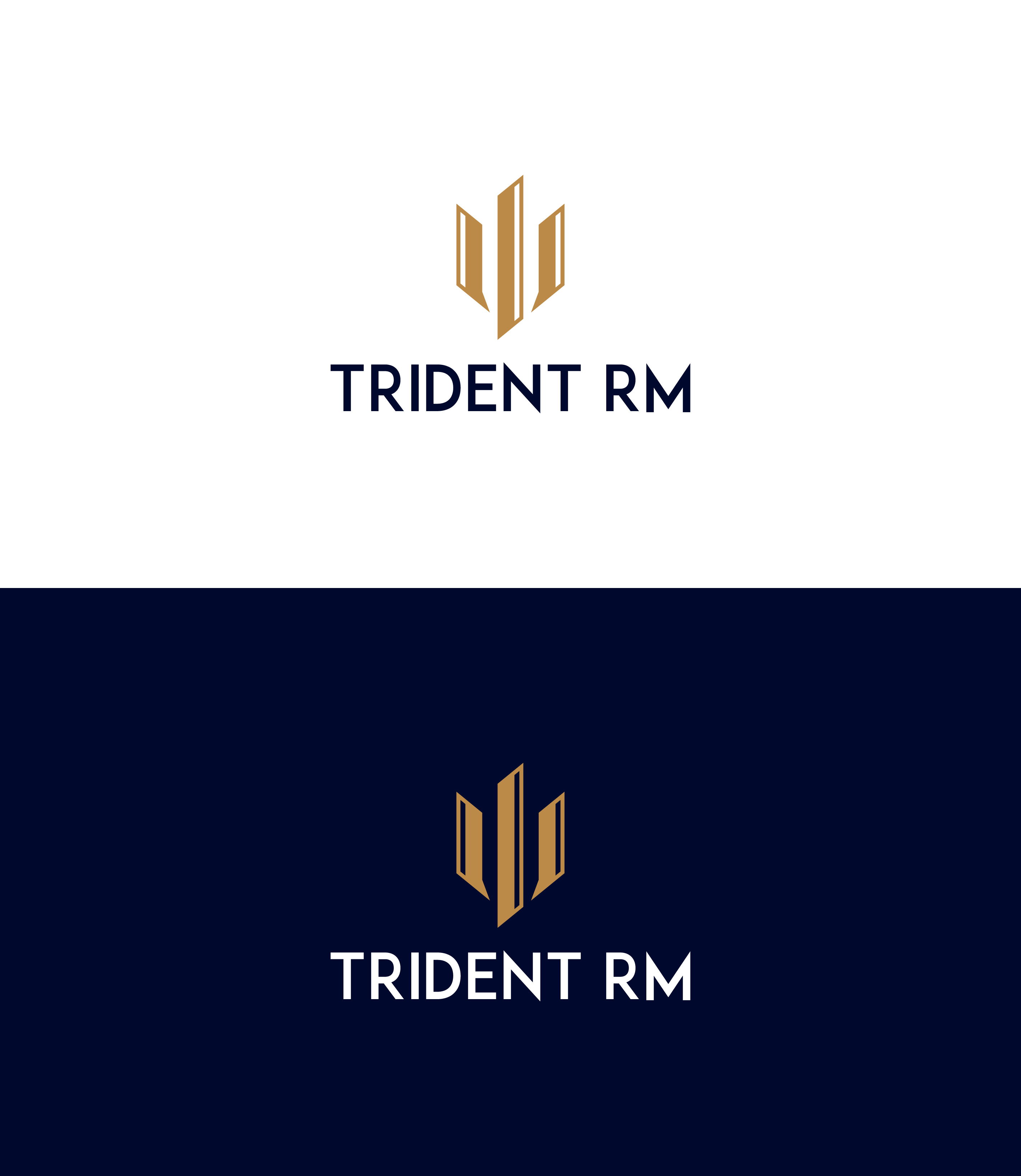 Logo Design by nasim33 for Trident Risk Management | Design #37025599