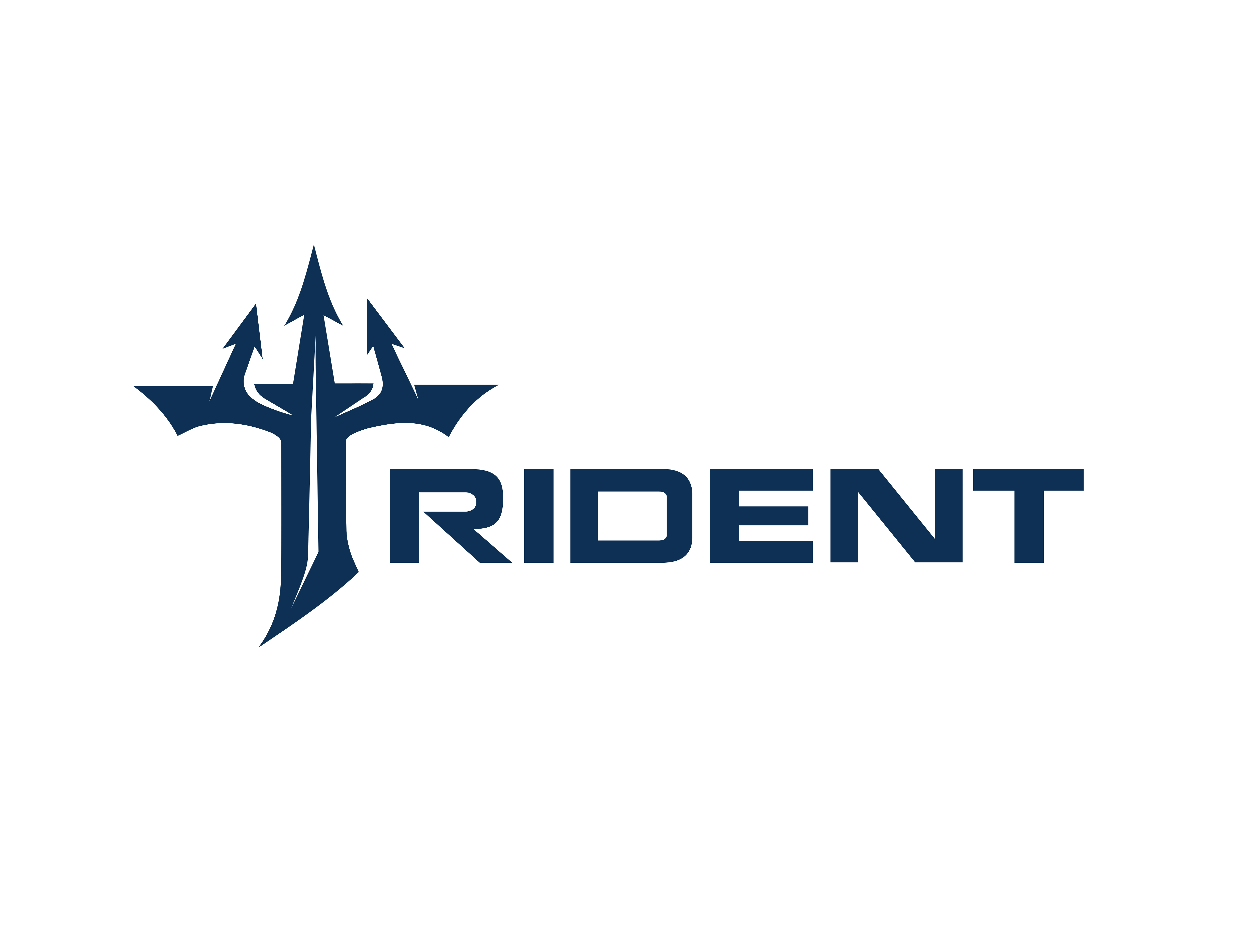 Logo Design by yoga202 for Trident Risk Management | Design #37024098