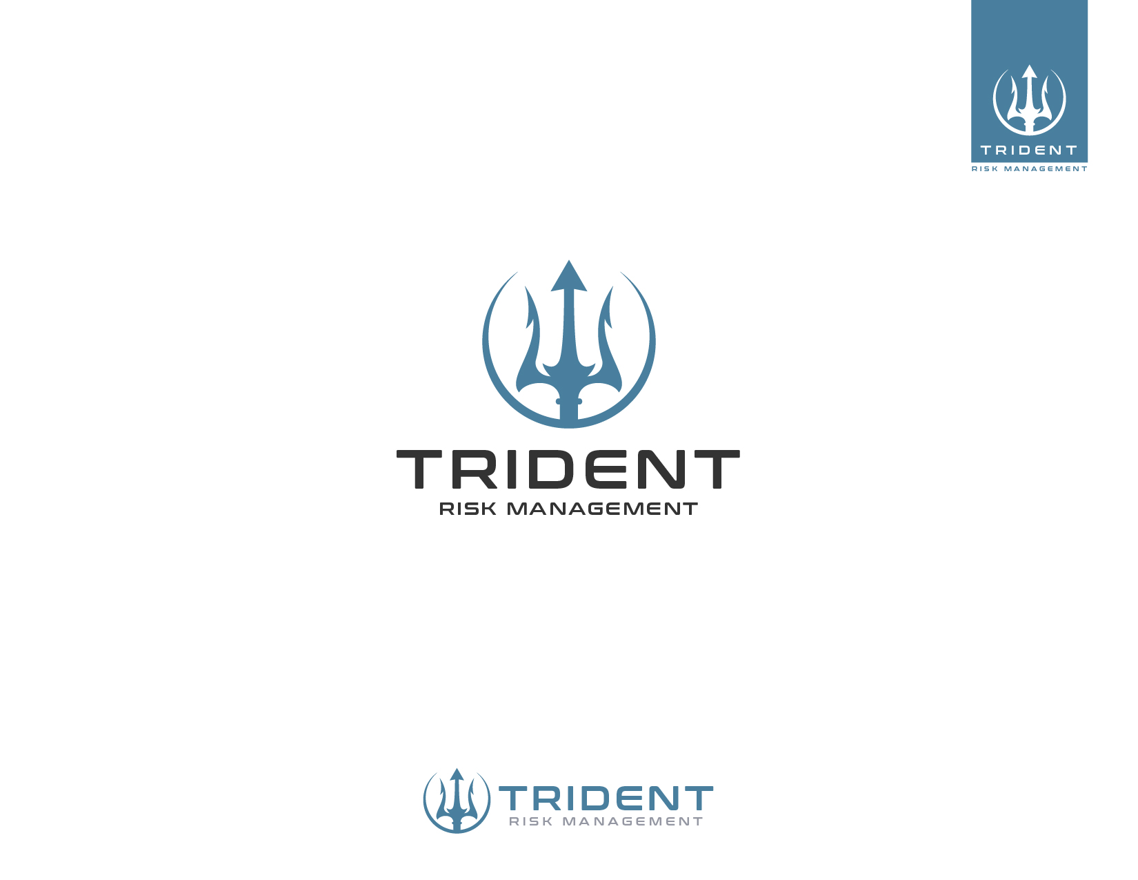Logo Design by JuniorDesigns for Trident Risk Management | Design #37021240