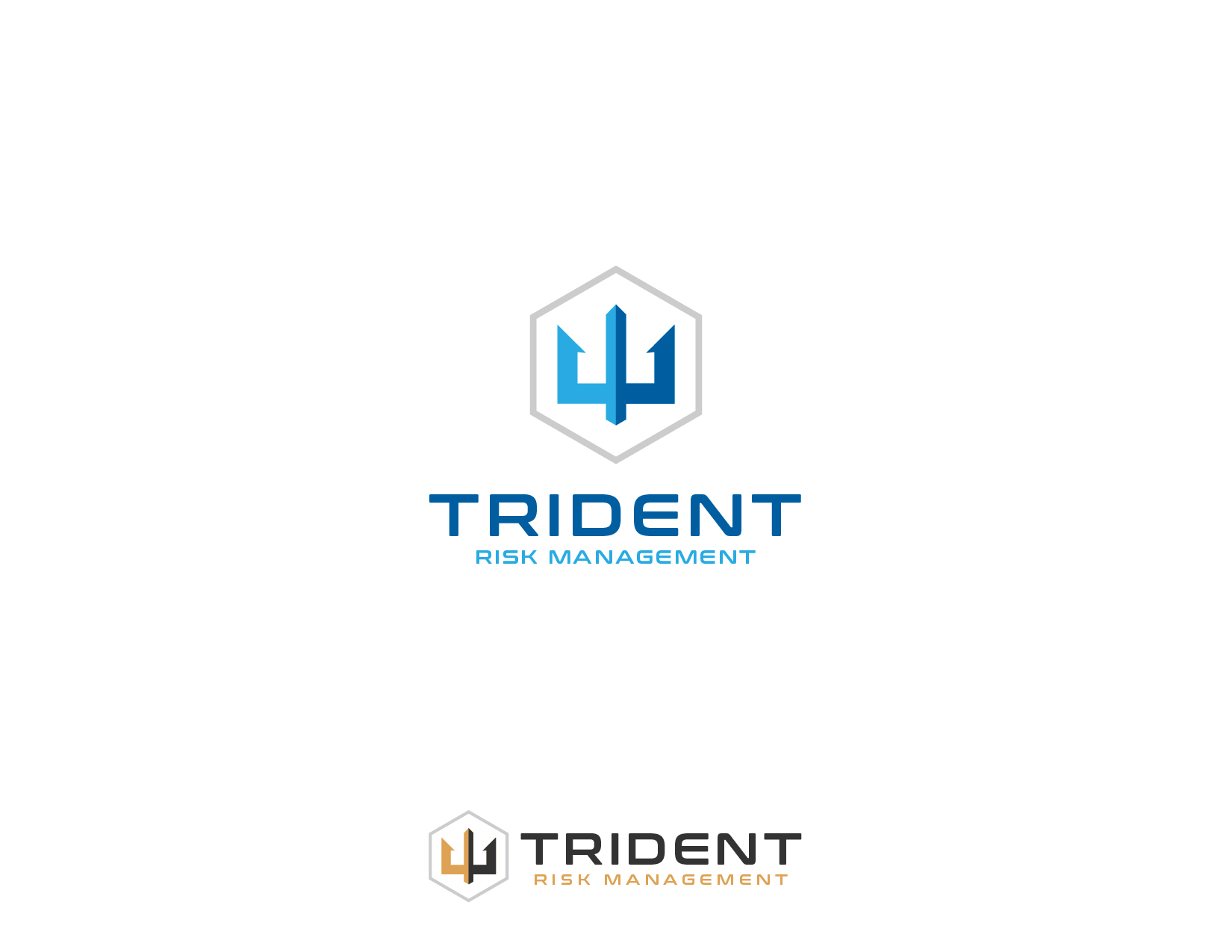 Logo Design by JuniorDesigns for Trident Risk Management | Design #37024012