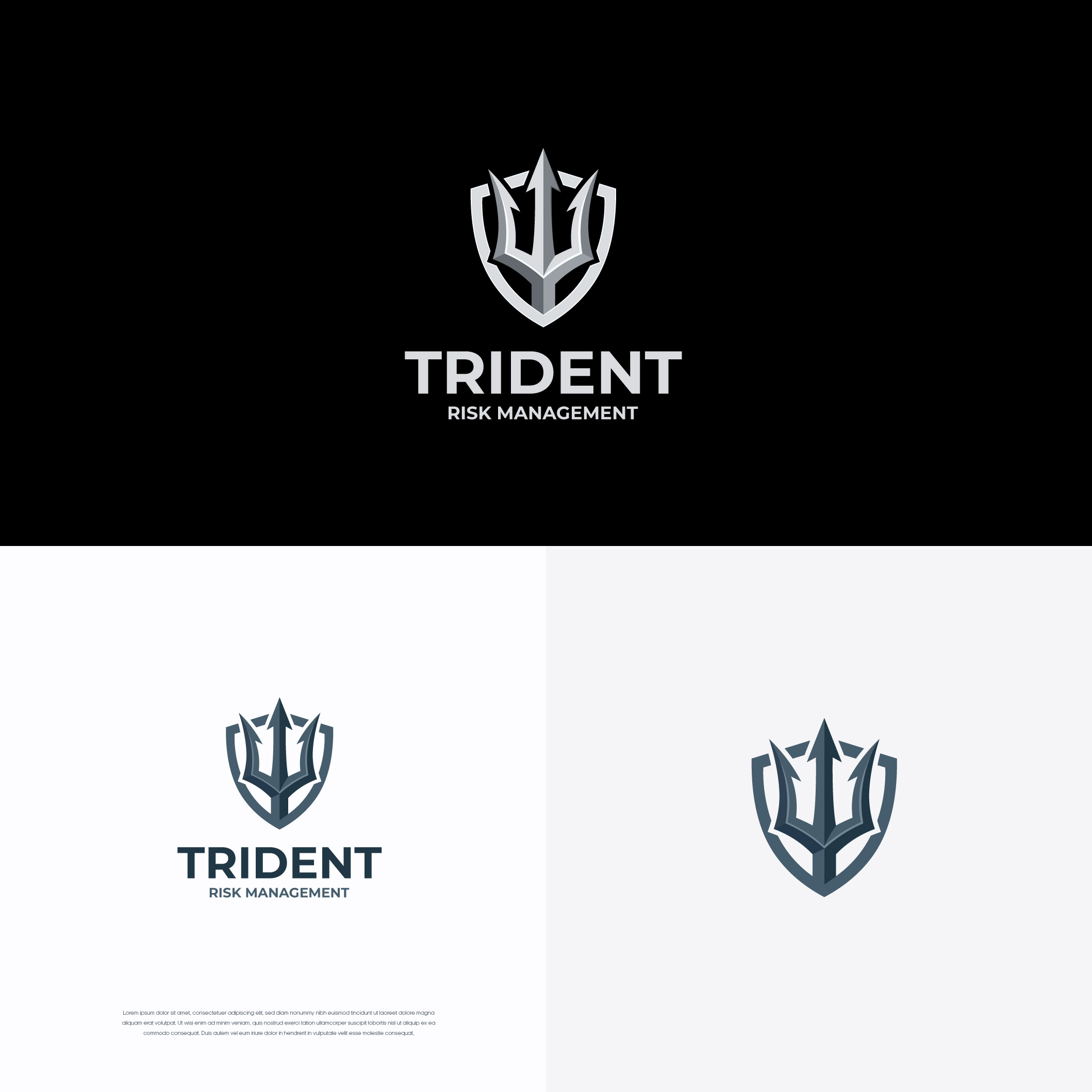 Logo Design by Shigh5 for Trident Risk Management | Design #37024023