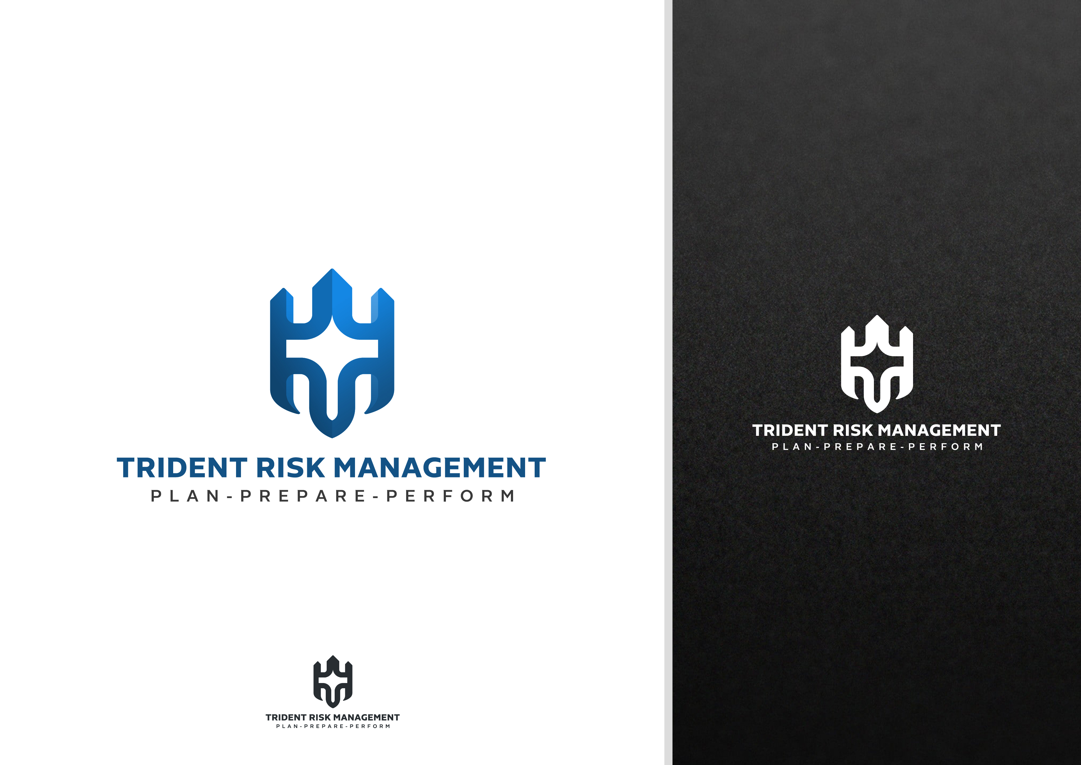 Logo Design by DiLion for Trident Risk Management | Design #37021972