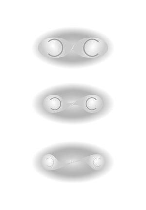 Graphic Design by Kira Graphics for this project | Design: #37051040