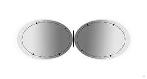 Graphic Design by pb for this project | Design: #37036532