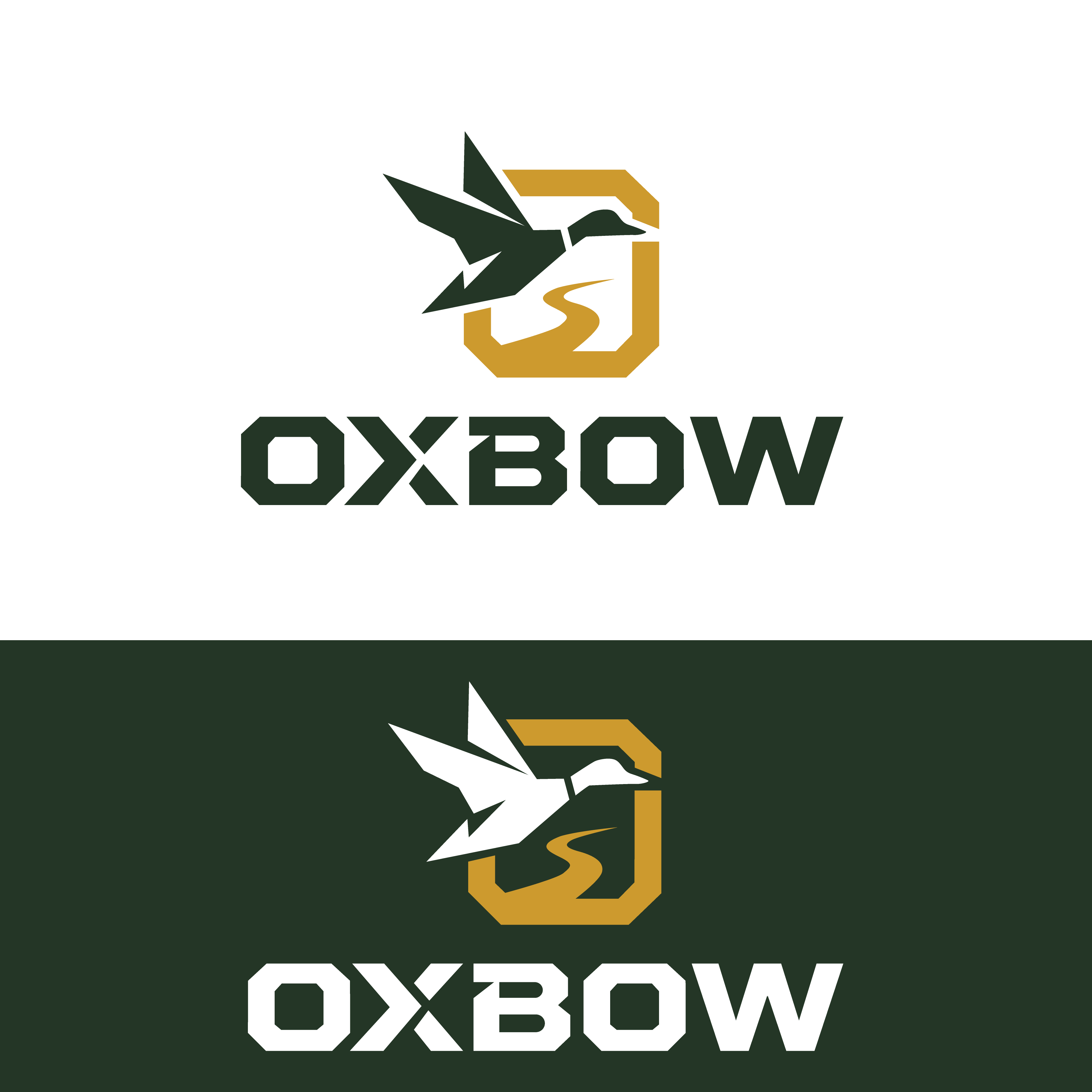Design de Logo par Casey Kelechi pour ce projet | Design #37026973