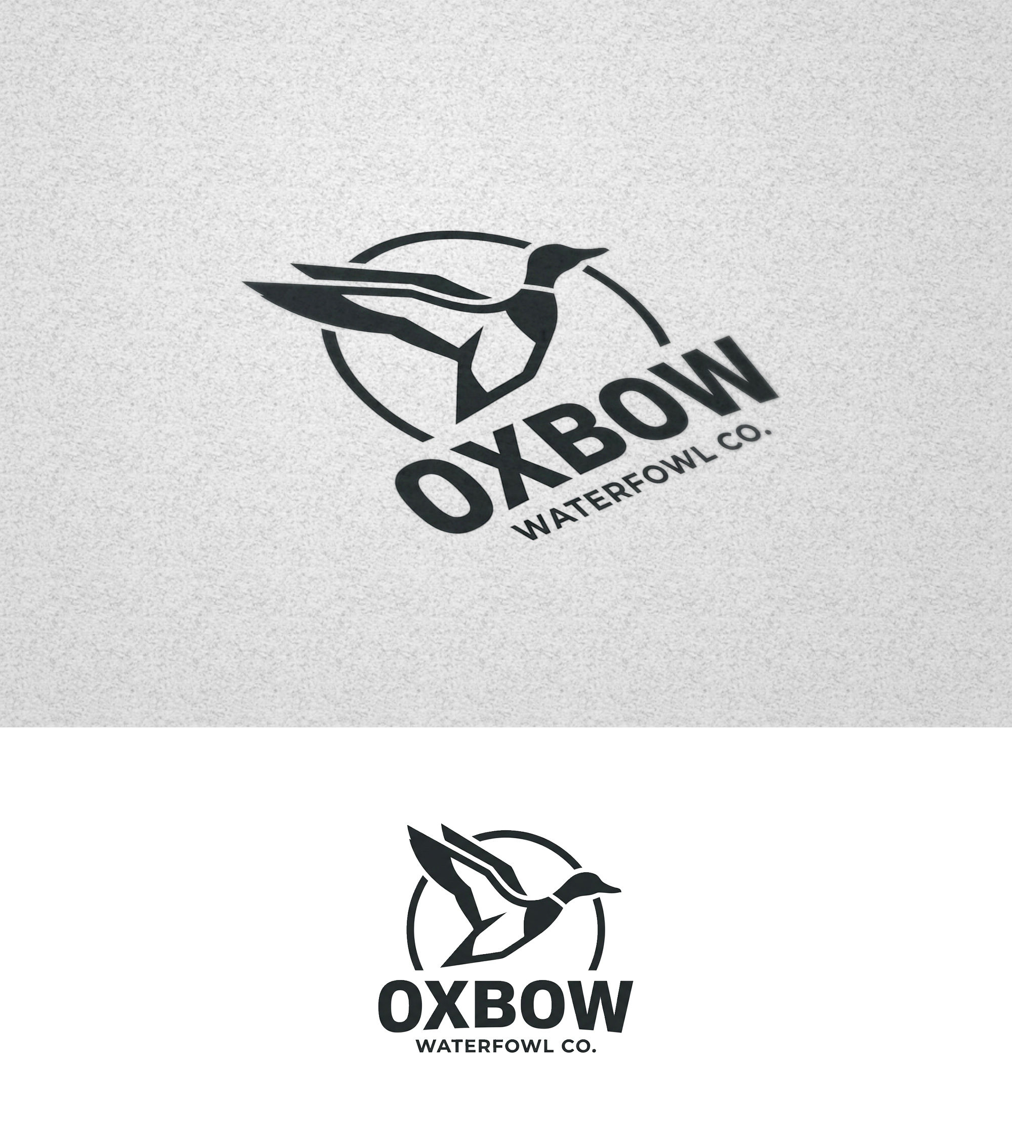 Design de Logo par Designz Zone pour ce projet | Design #37036299
