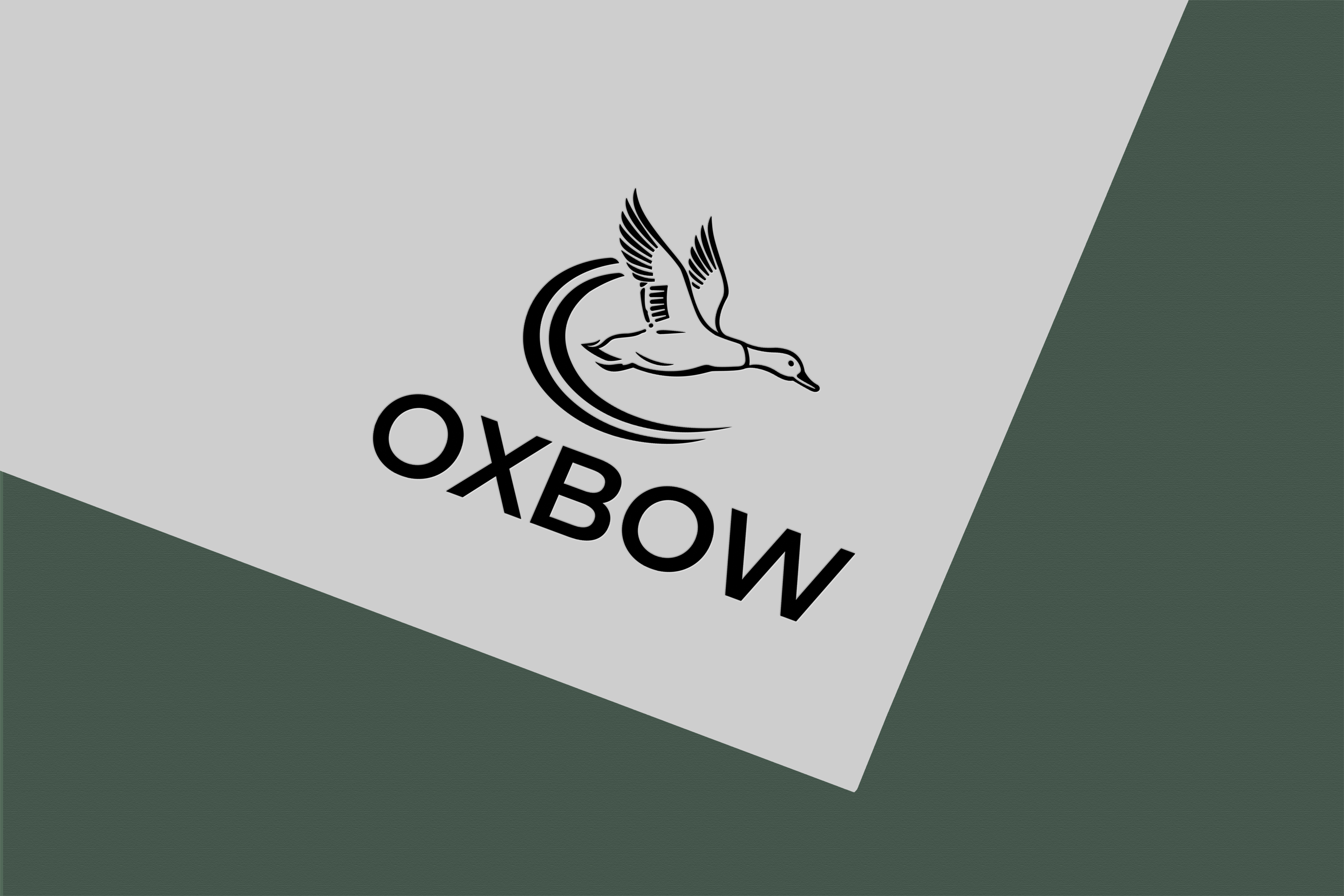 Design de Logo par Jubaidur Creative Designer pour ce projet | Design #37027200