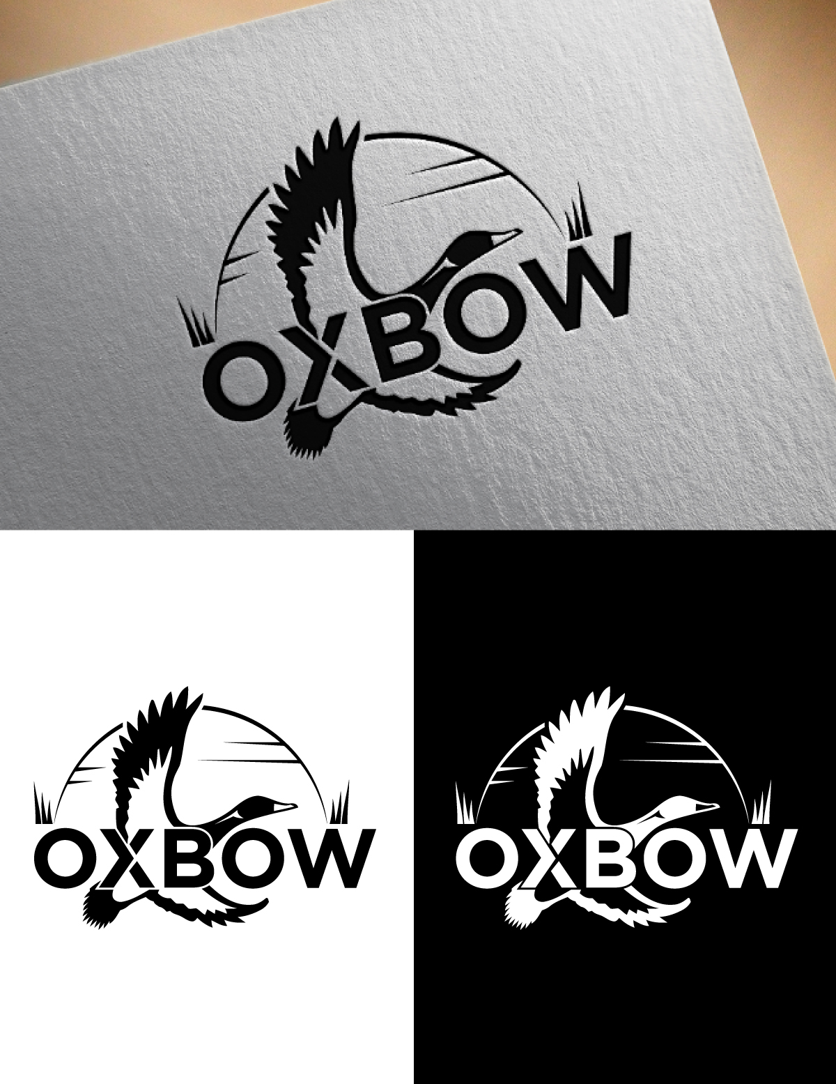 Design de Logo par Hridoy Mizi 2 pour ce projet | Design #37040551