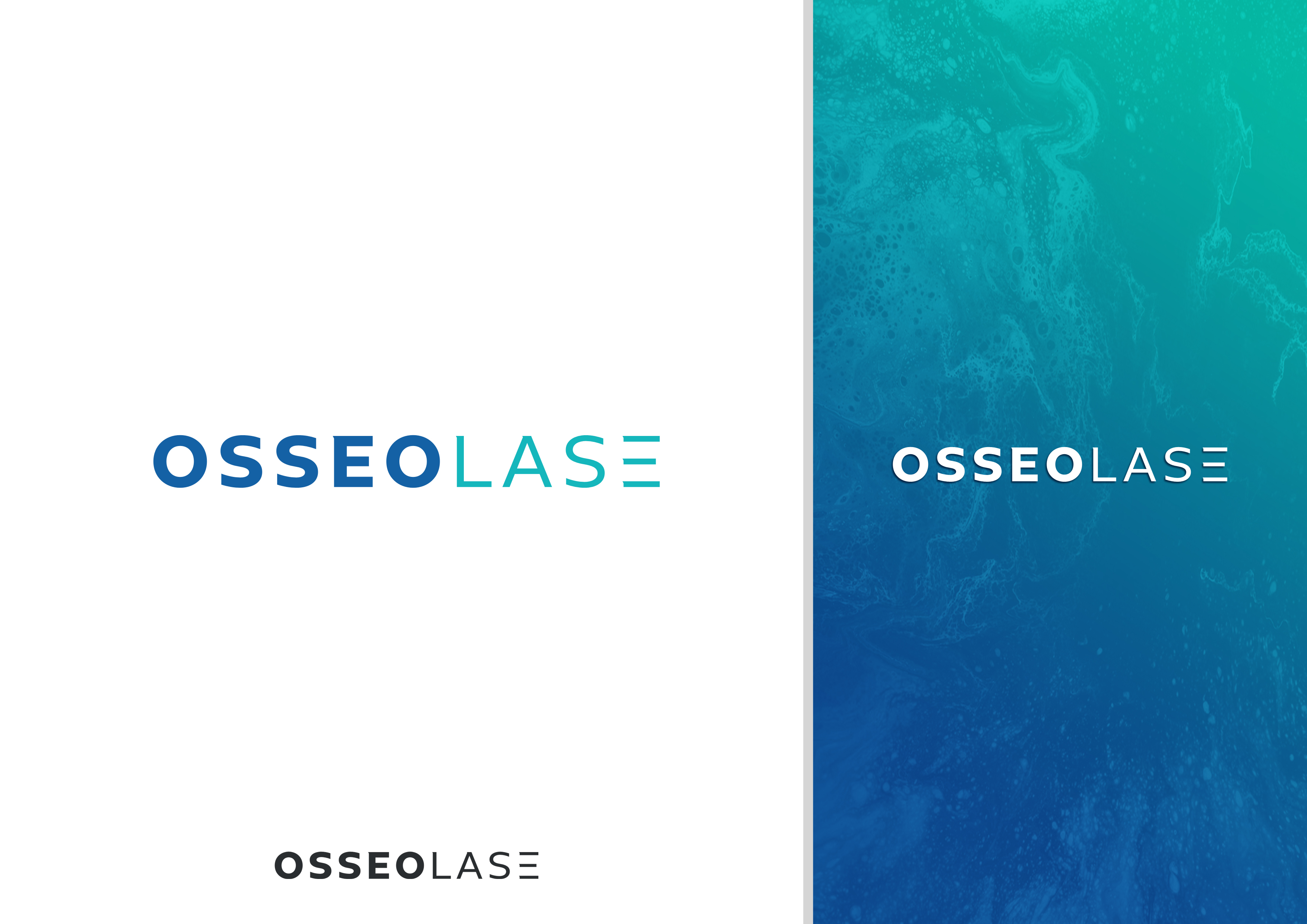 Diseño de Logo por DiLion para este proyecto | Diseño #37027495