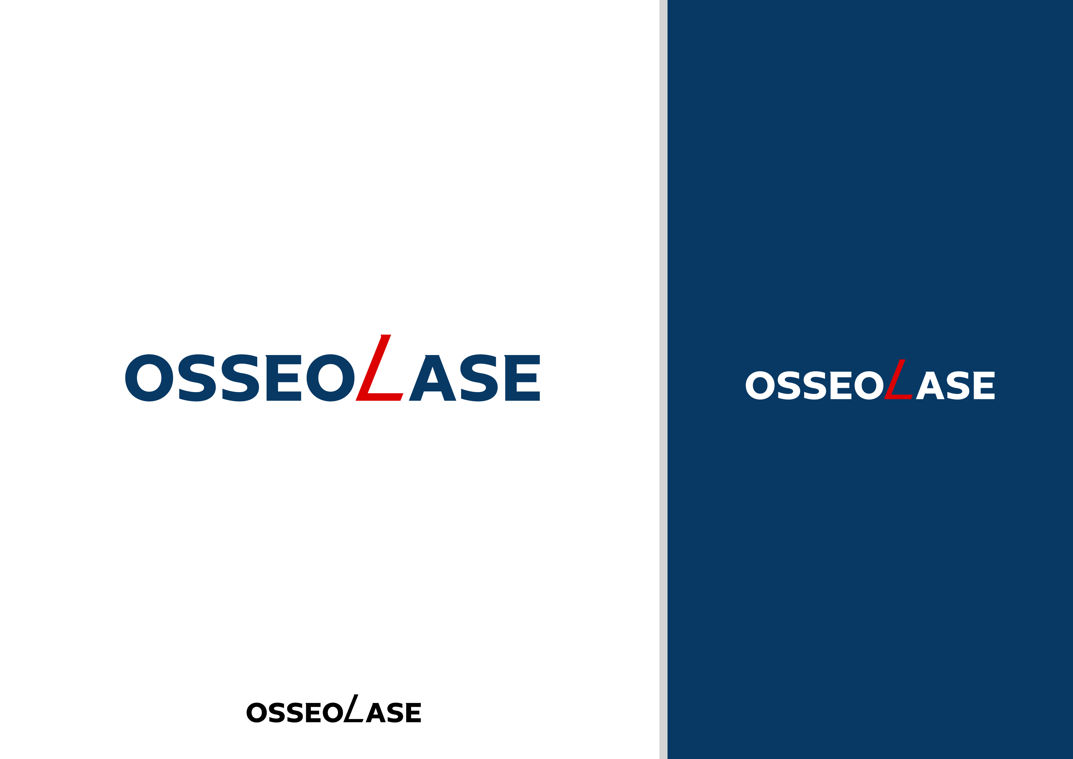 Diseño de Logo por DiLion para este proyecto | Diseño #37030663