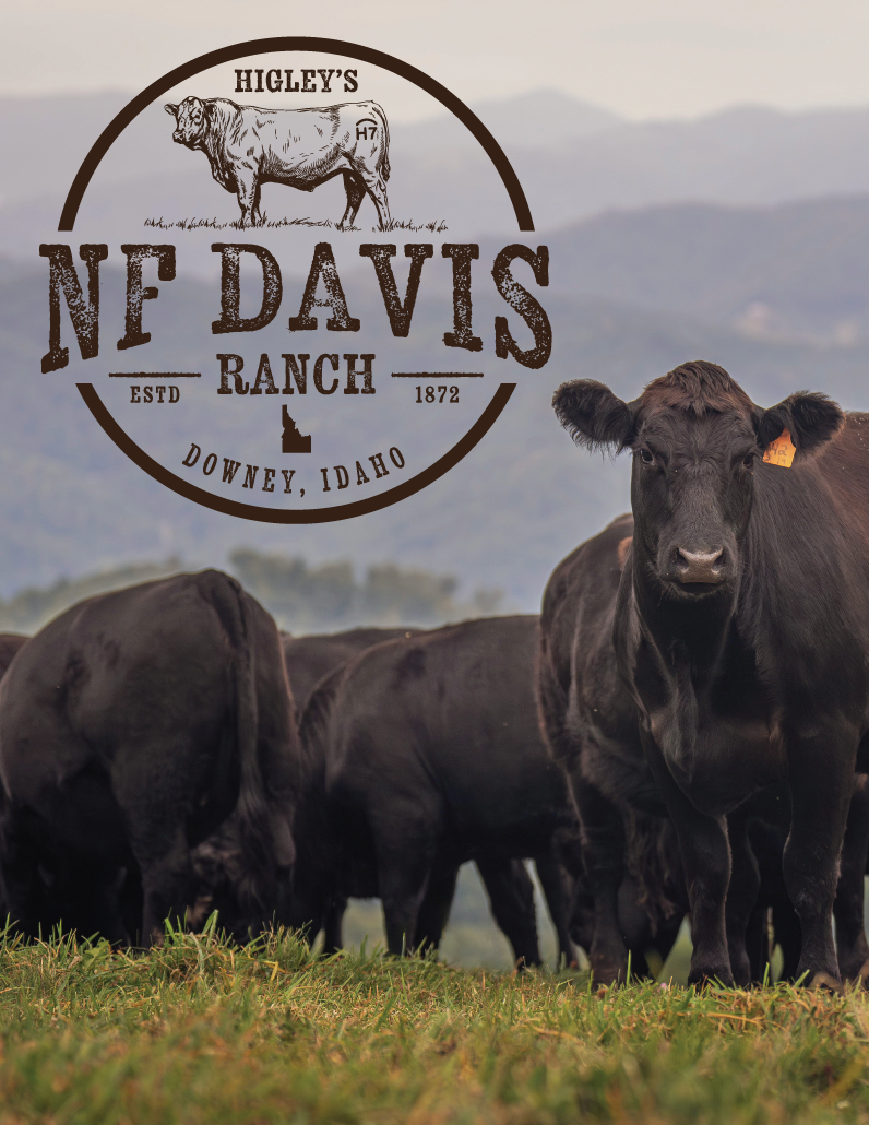 Diseño de Logo por Jennifer Beatty para este proyecto | Diseño #37036234