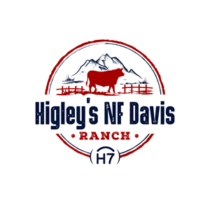 Diseño de Logo por debdesign para este proyecto | Diseño: #37042712