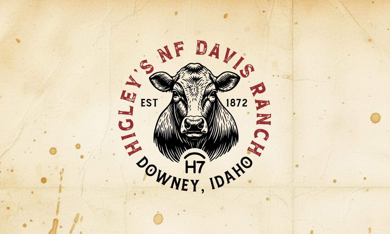 Logo Design by Solarex Corporation for this project | Design #37038428