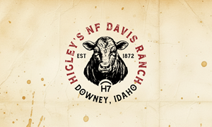 Logo Design by Solarex Corporation for this project | Design: #37038452