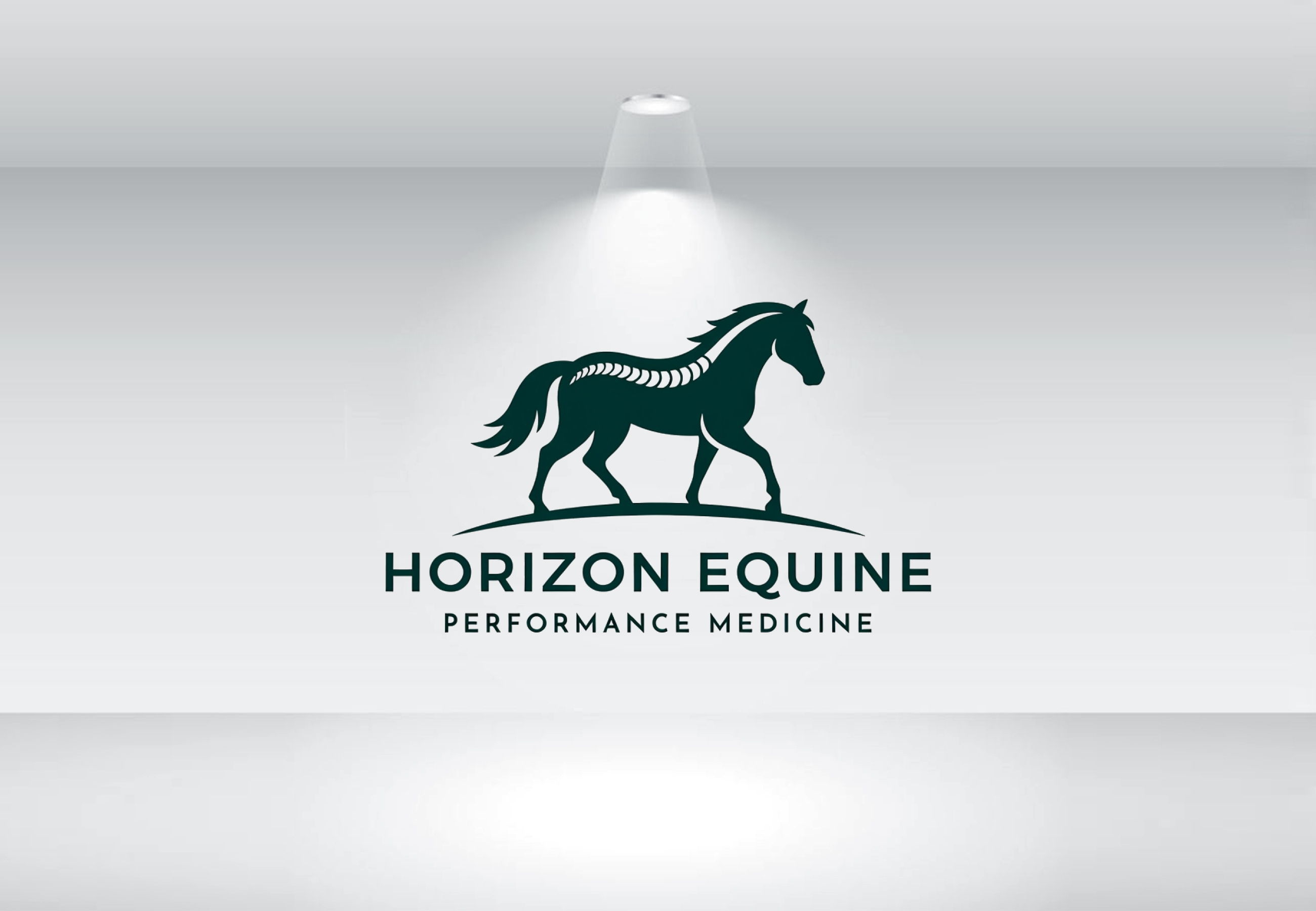 Logo-Design von Nova Creative Designs für dieses Projekt | Design #37044474