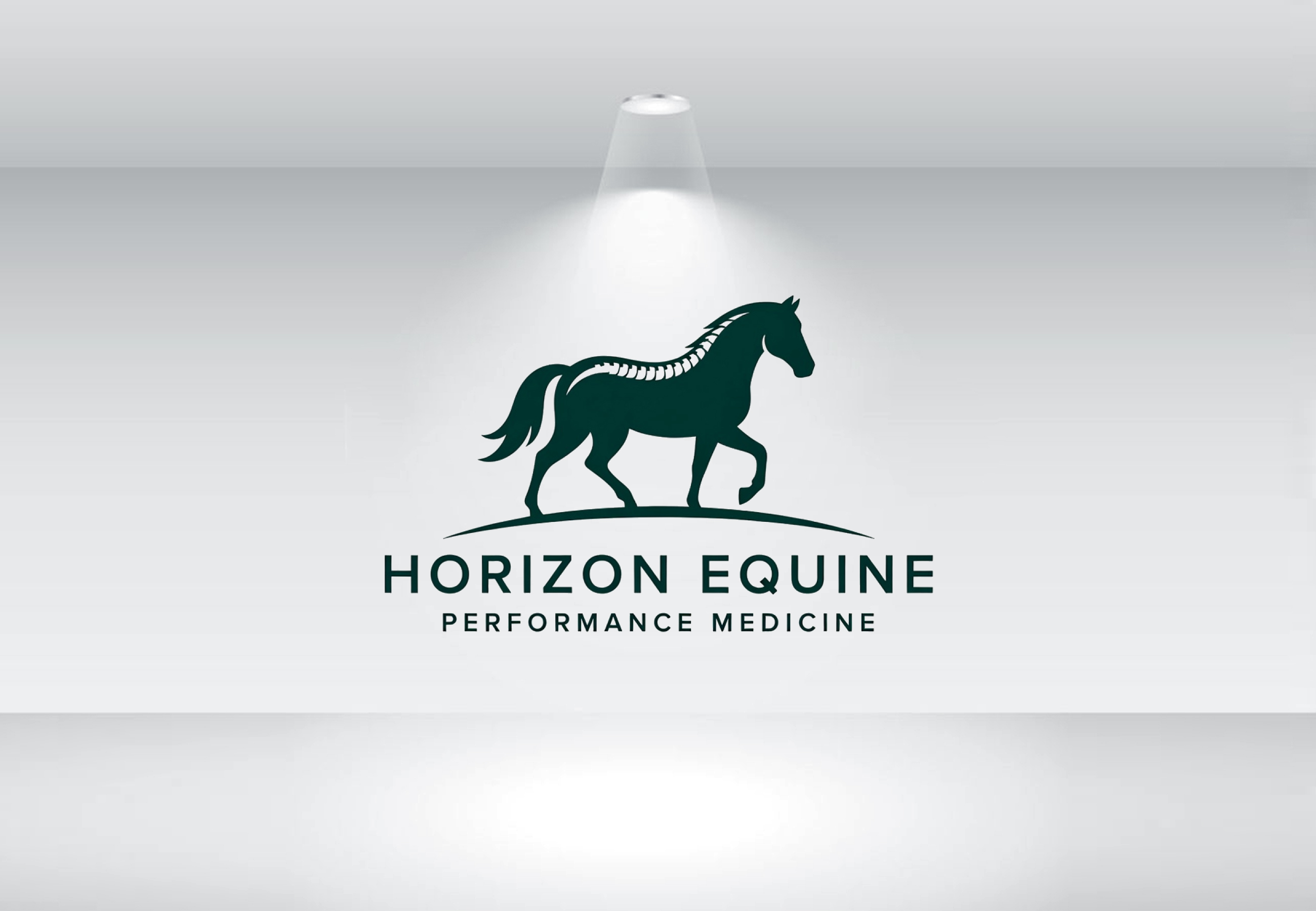 Logo Design by Nova Creative Designs for this project | Design #37044477