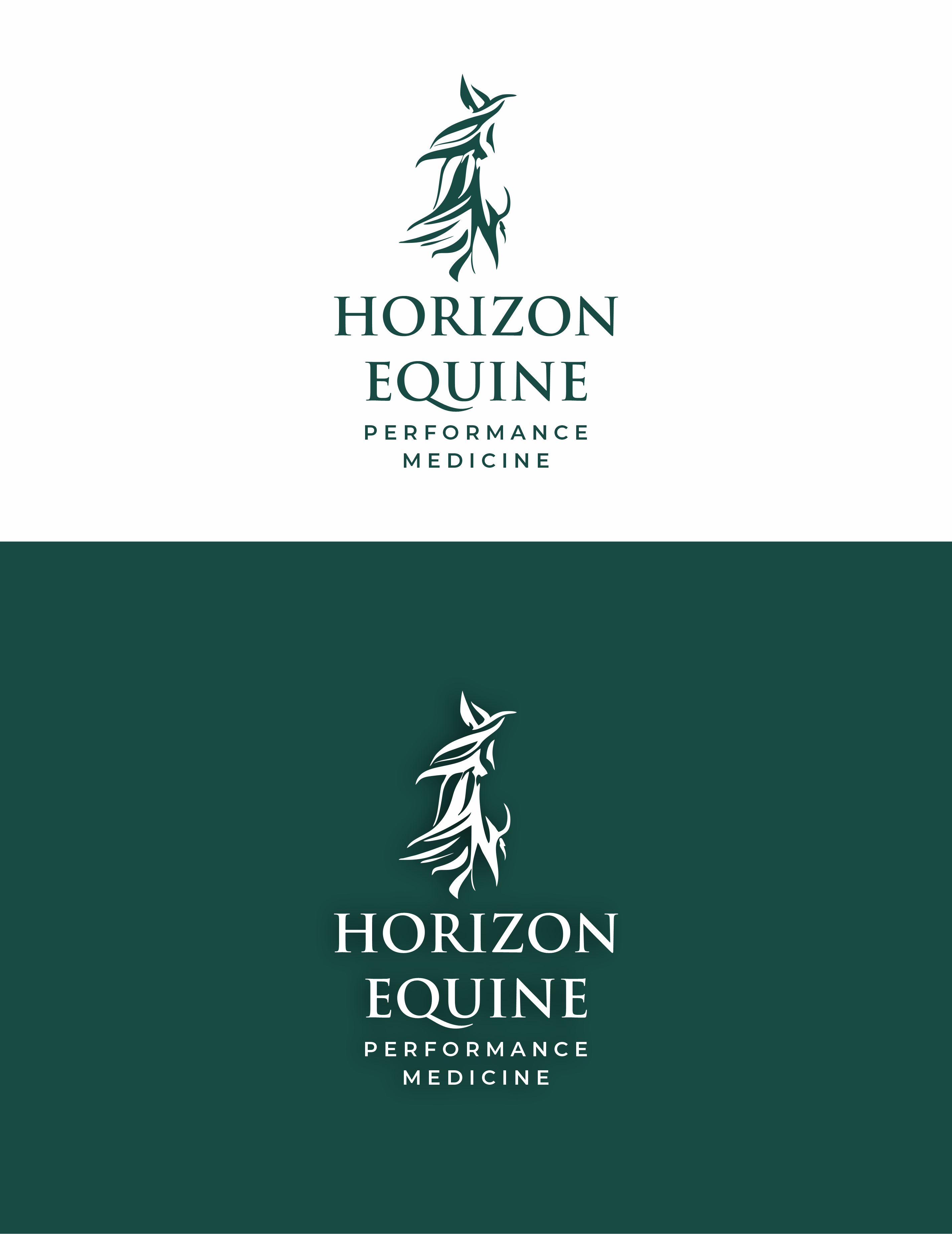 Logo Design by saesean for this project | Design #37043474