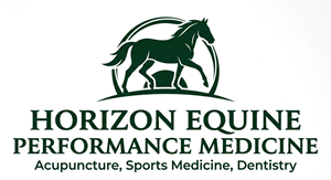 Logo Design by hossain32 for this project | Design: #37040340