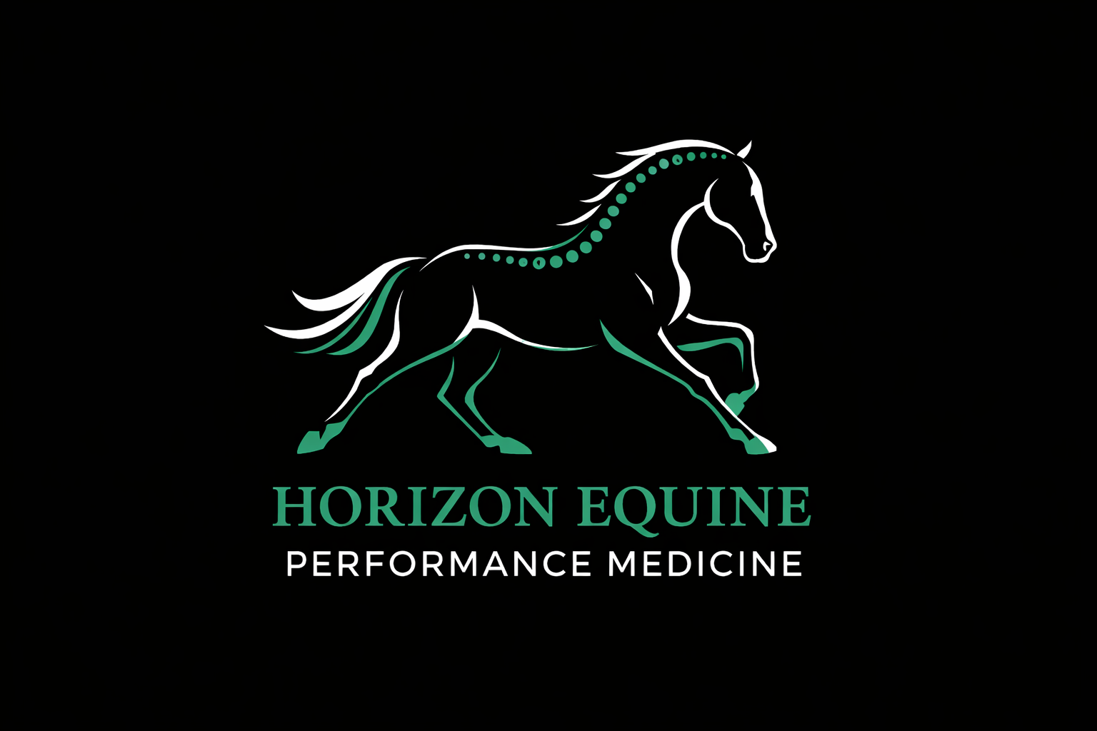 Logo-Design von Max37 für dieses Projekt | Design #37060555