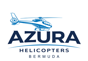 Logo Design by Yayan gesuter for Elite Rotocraft | Design: #37046111