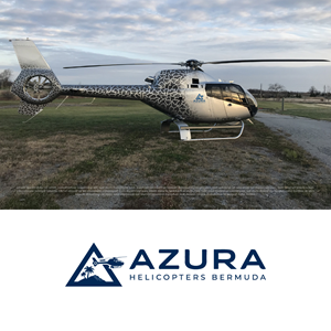 Logo Design by Kayla Studio for Elite Rotocraft | Design: #37041159