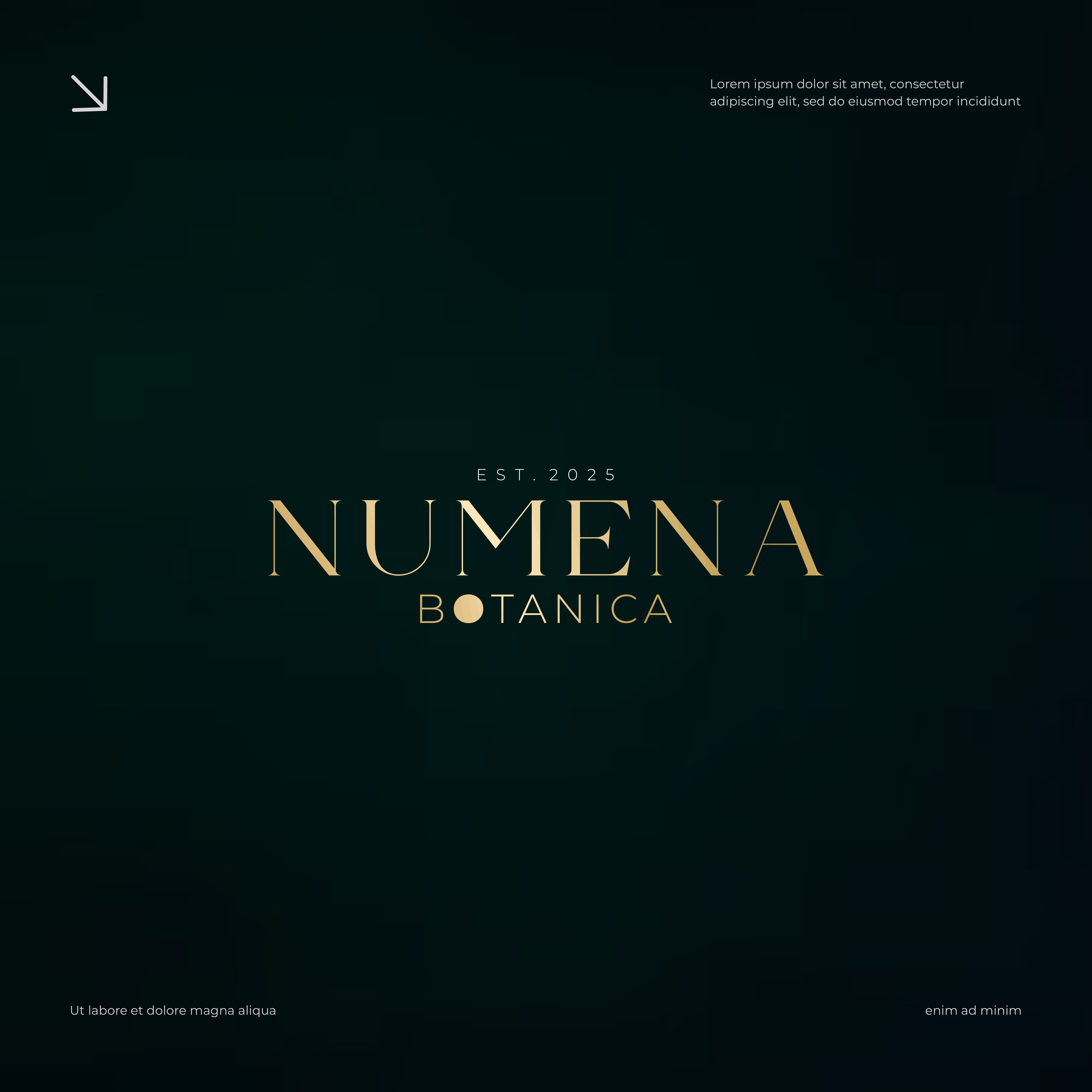 Logo Design by dadaMEDIA for this project | Design #37039731