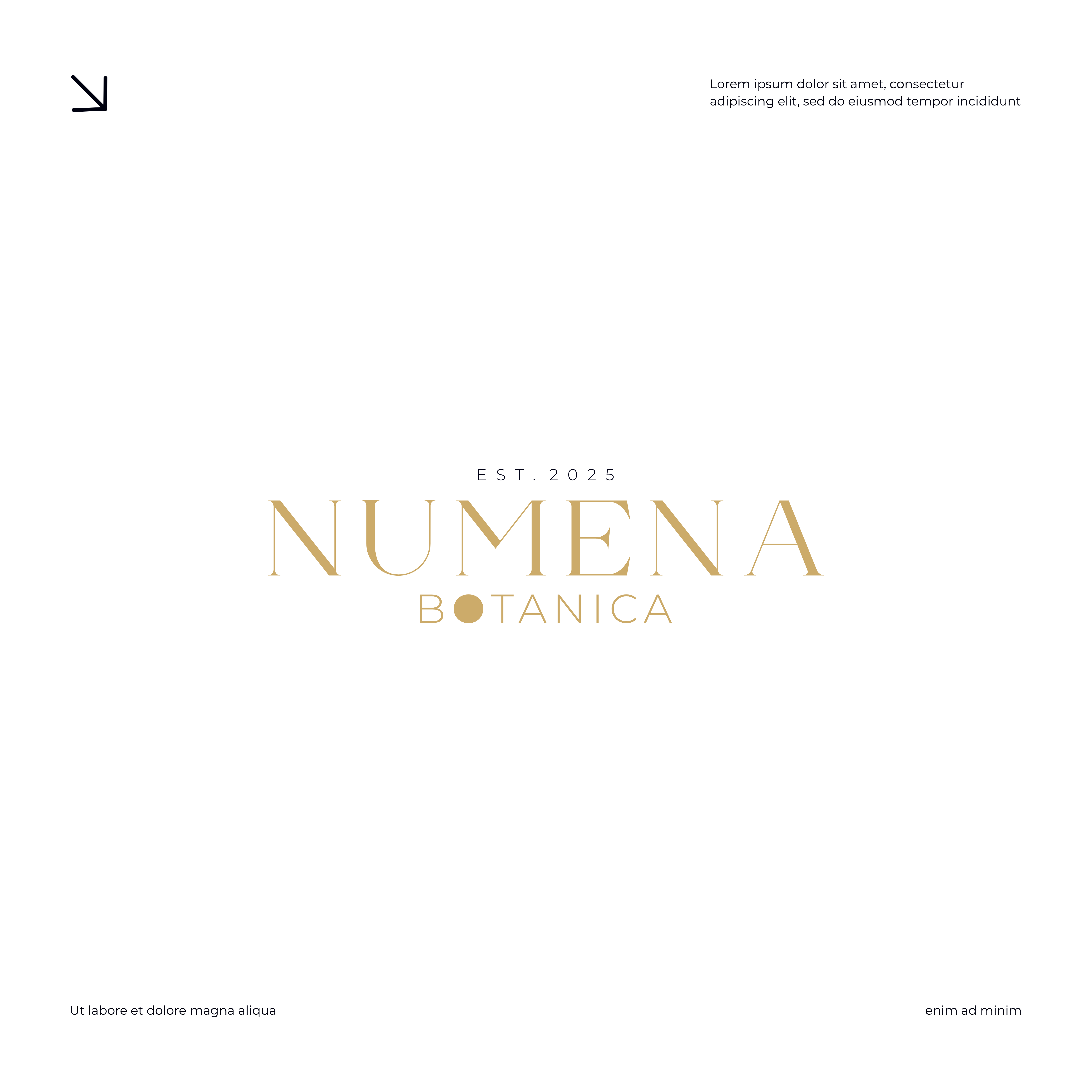 Logo Design by dadaMEDIA for this project | Design #37039732