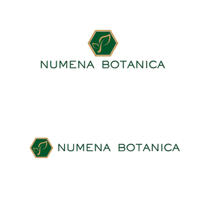 Logo Design by emptyboxgraphics for this project | Design #37040532