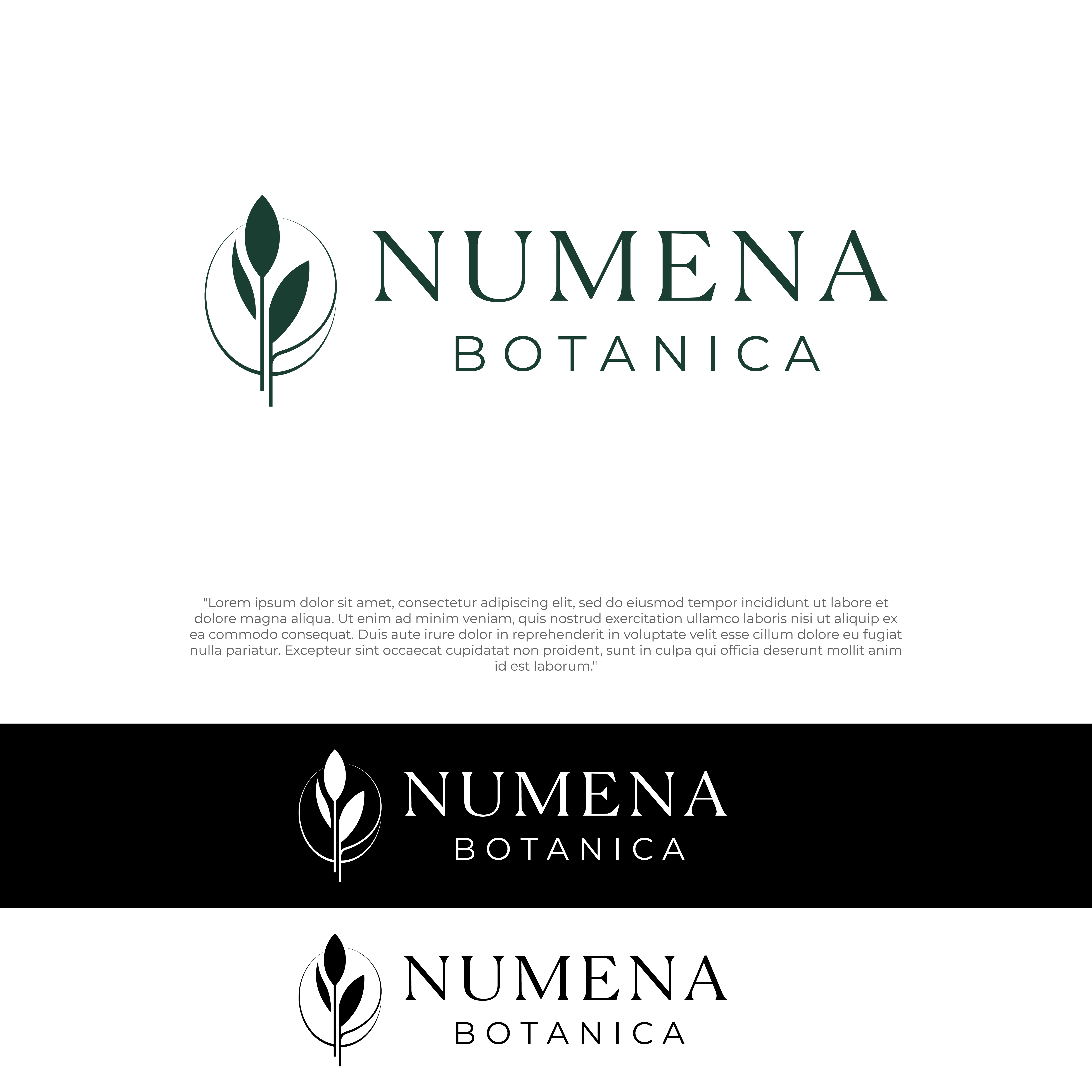 Logo Design by Nurlaila0612 for this project | Design #37041467