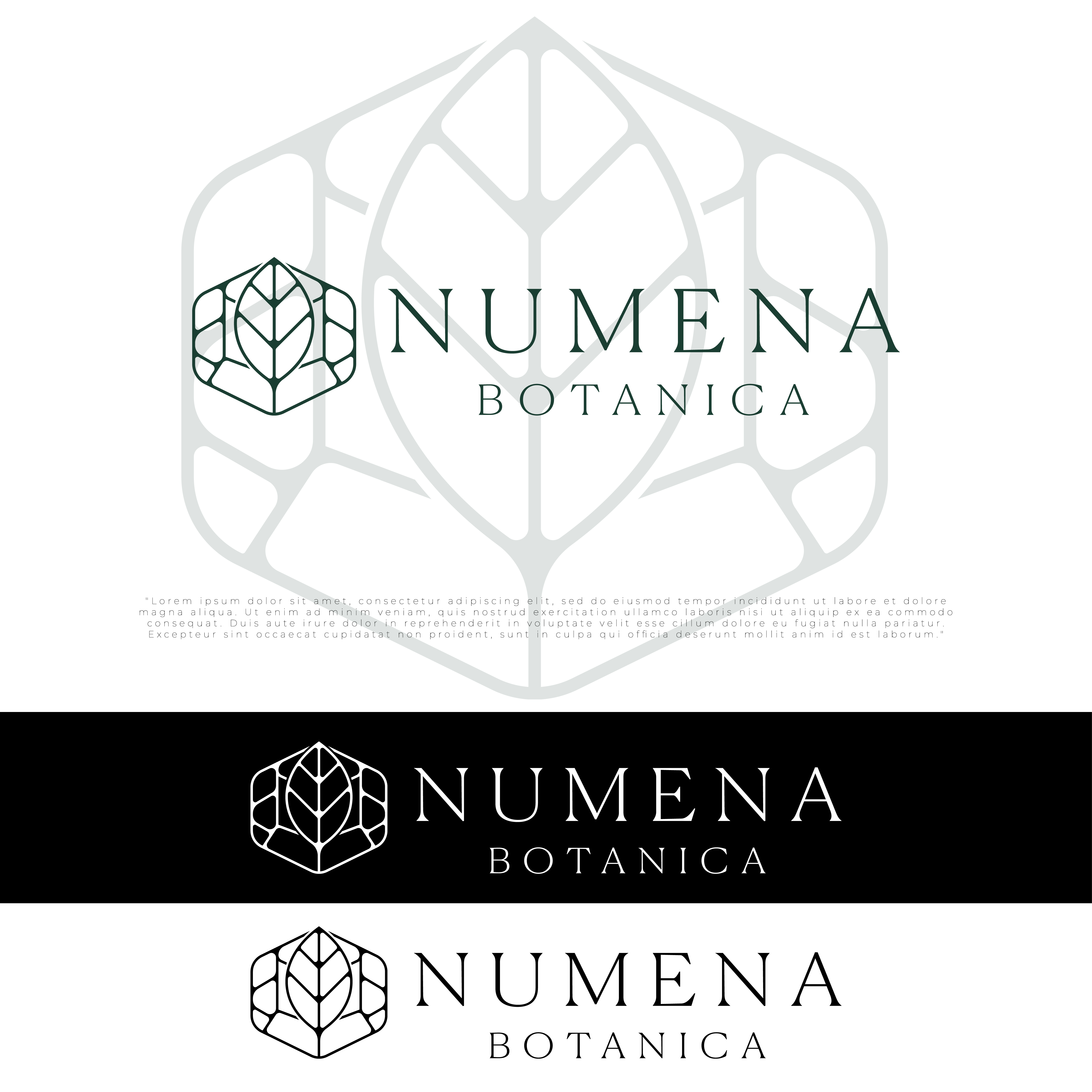 Logo Design by Nurlaila0612 for this project | Design #37041788