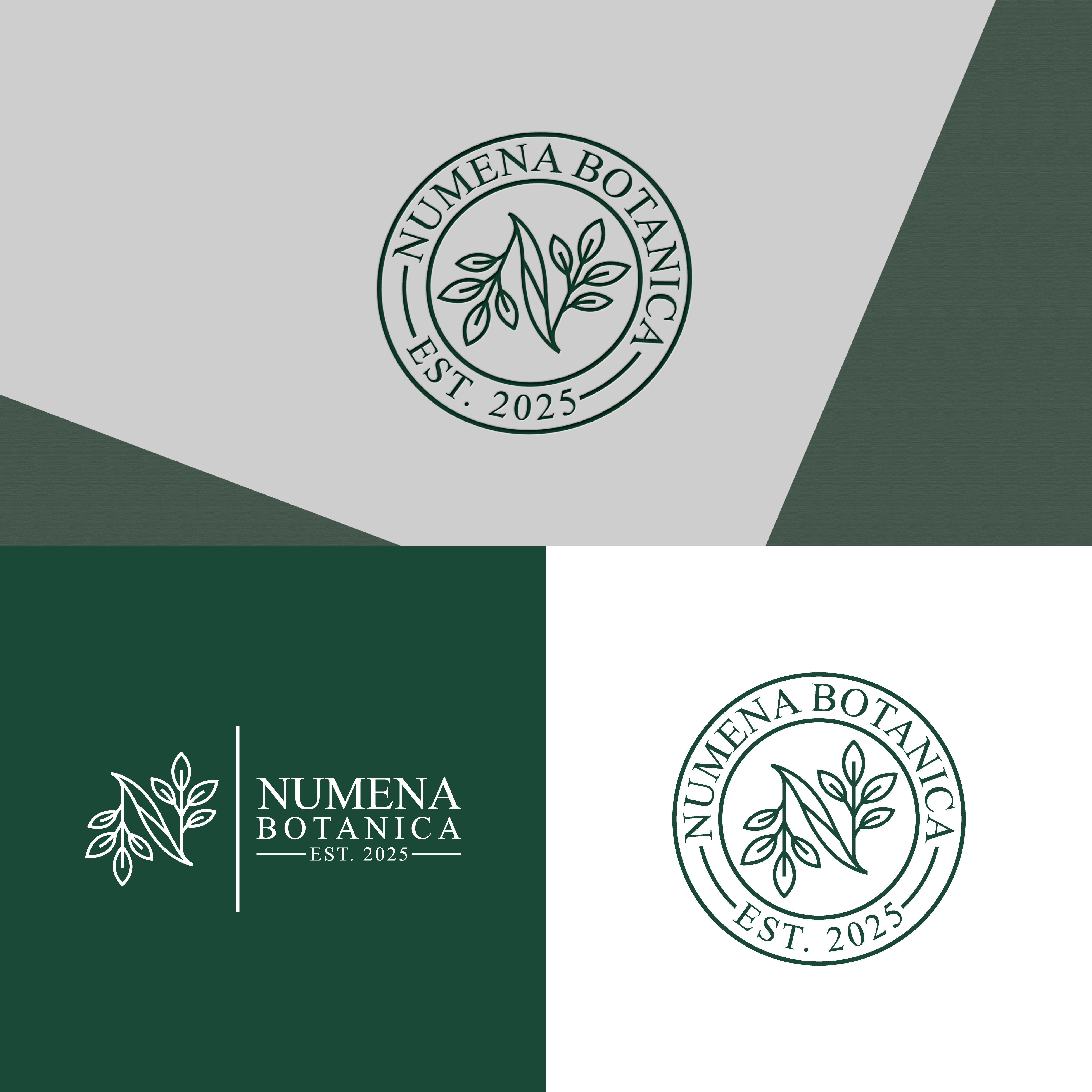 Logo Design by Jubaidur Creative Designer for this project | Design #37039431